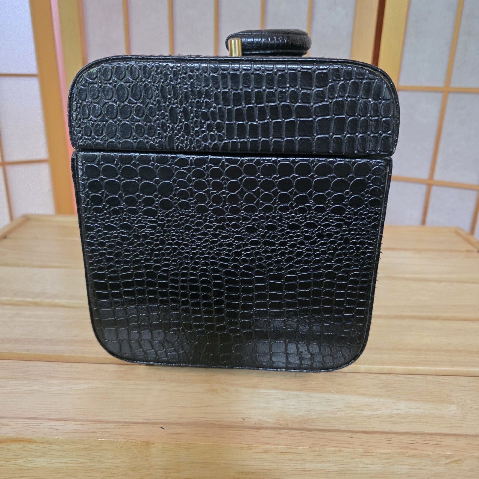 Overnight Travel Makeup Faux Alligator Vanity Hard Case Vtg 90s Cosmetic Train
