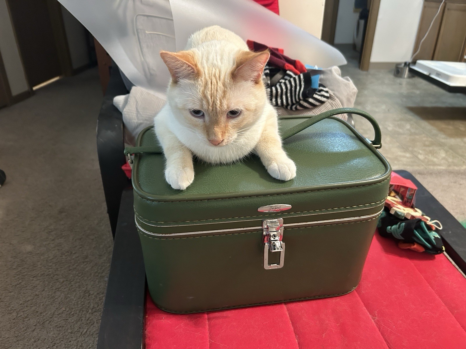 Green Vintage Sears Featherlite Train Case with Key