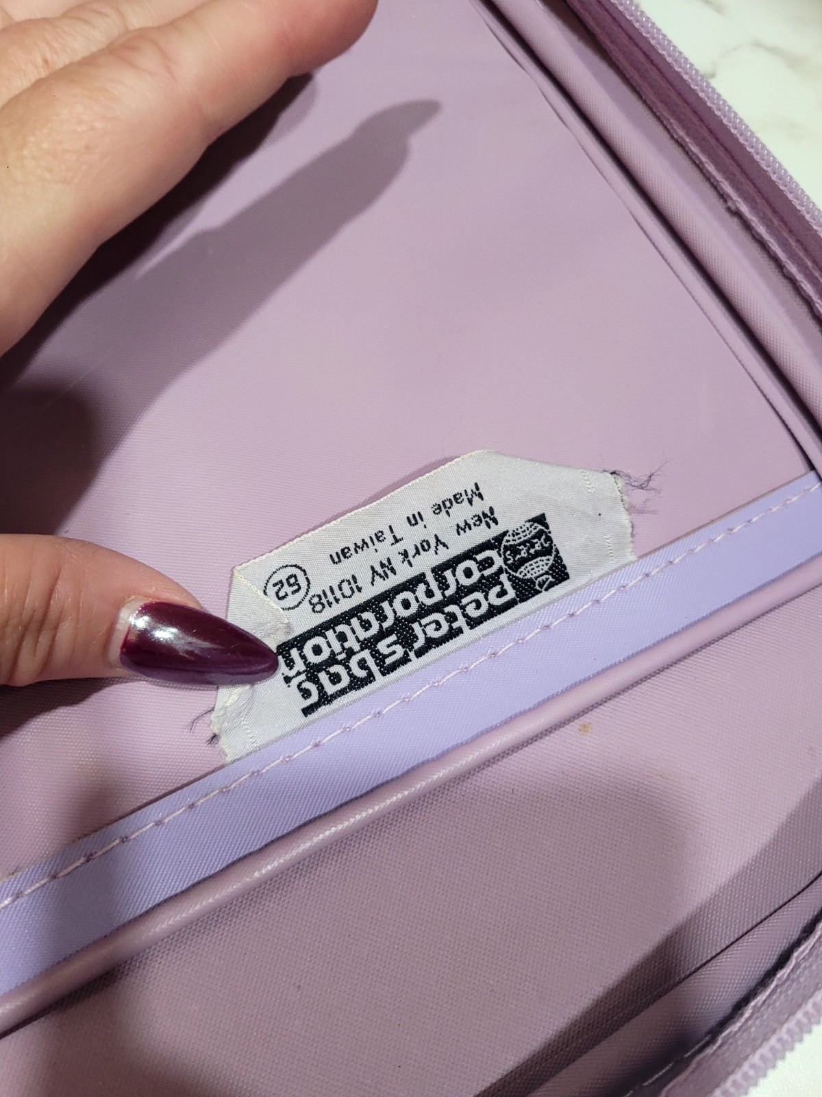 Vintage 1986 Care Bears Suitcase Luggage Light Pink Setting Sail for Grandmas