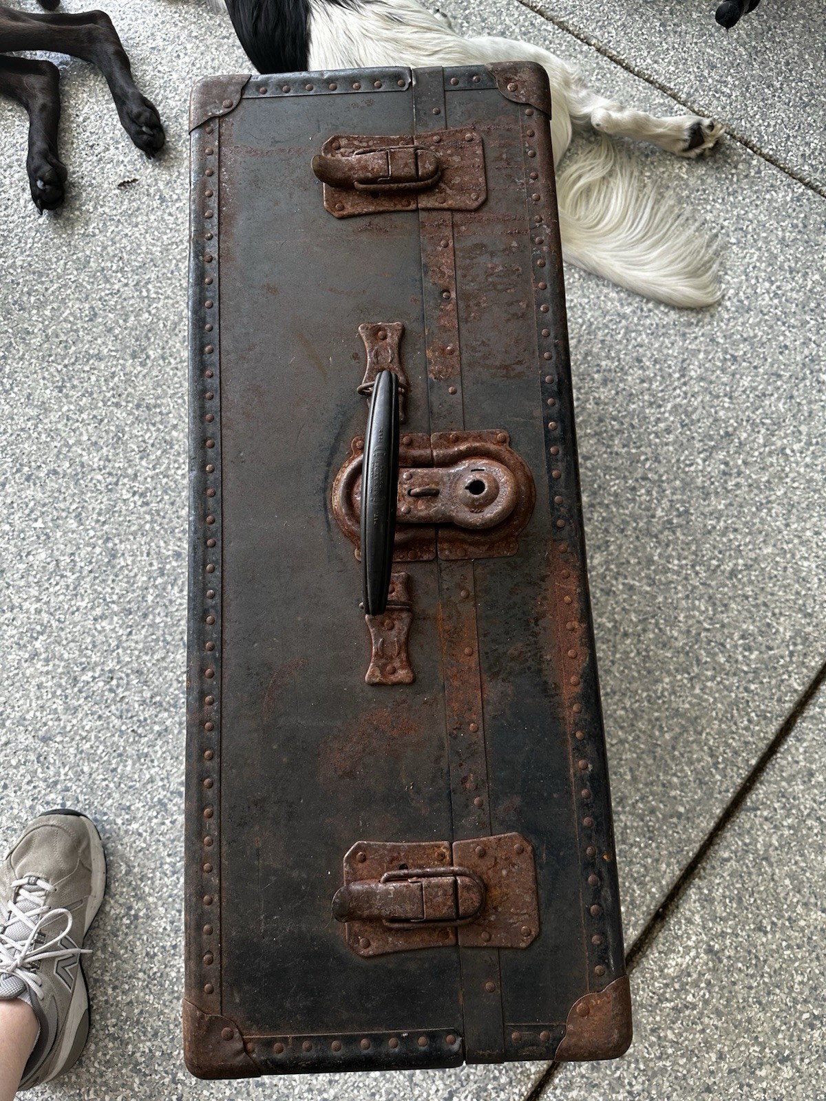 Vintage Black Hard Metal Suitcase Trunk w/ Locking Clasp, Up to 40L