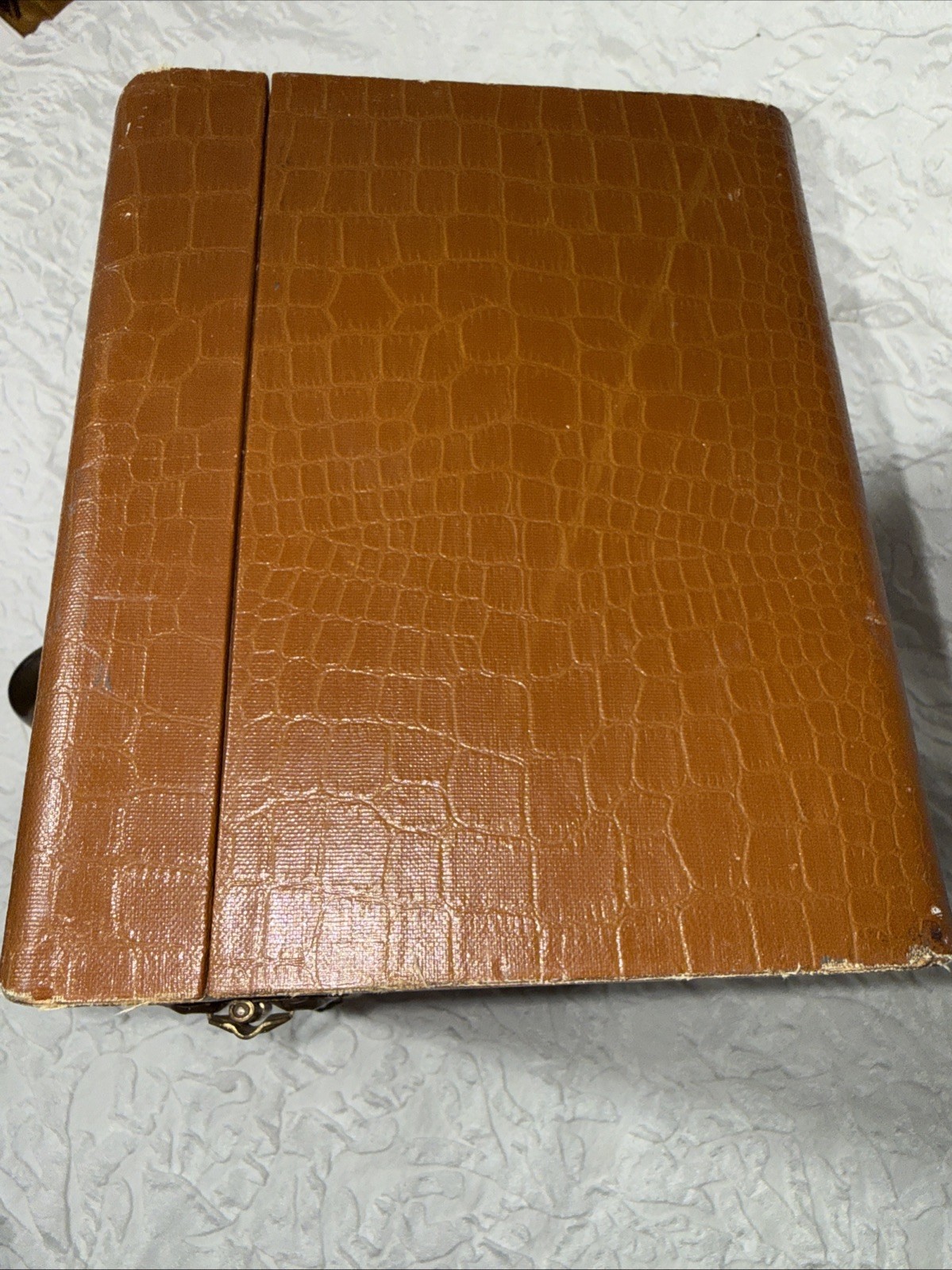 Vintage 50’s 60’s 13” Lucite Handle Brass Travel/Storage Case Faux Alligator