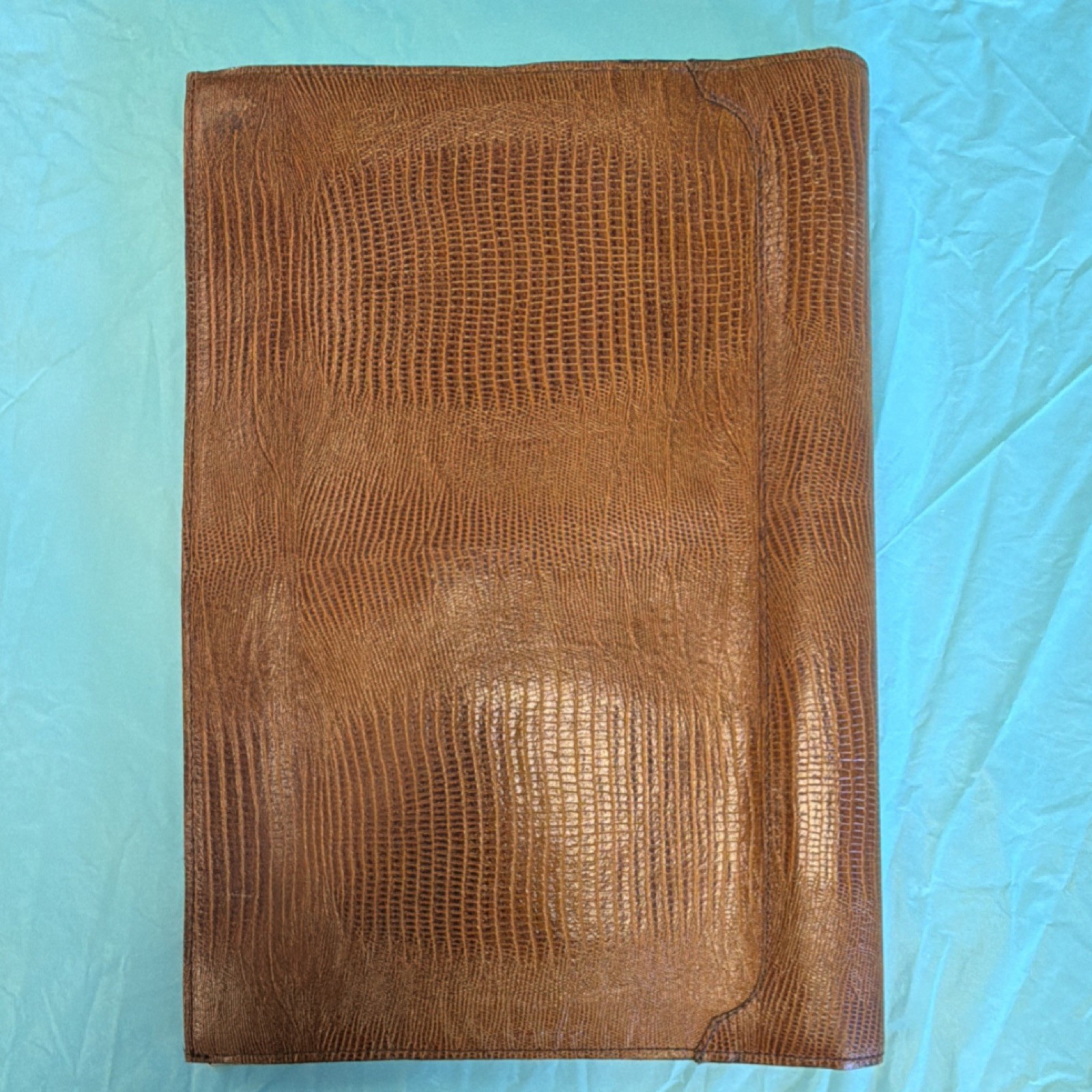 Vintage lizard skin Portfolio Document Case, Zip & Push Lock, Compartments
