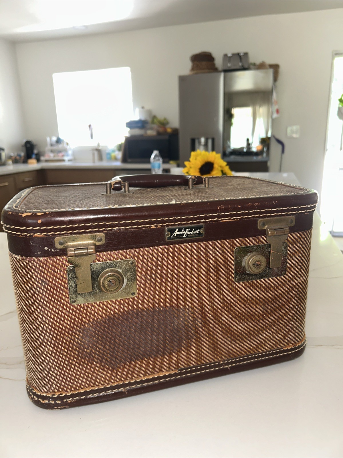 Amelia Earhart Vintage “Train Luggage” 1960 14×9.5×9. No Key. Read Description