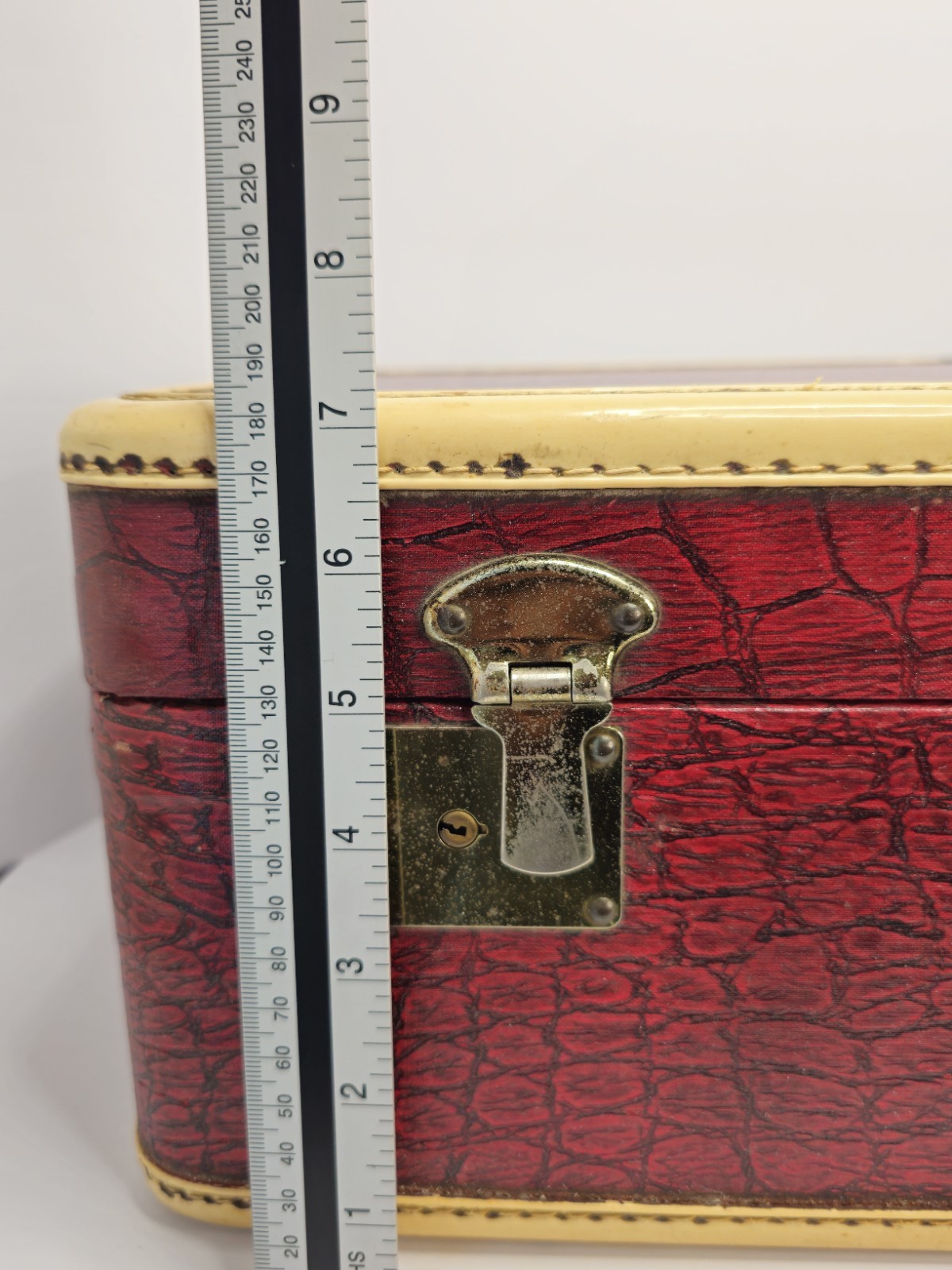 Vintage 1950’s H&M St Louis Red Alligator Suitcase Train Case Airplane Luggage