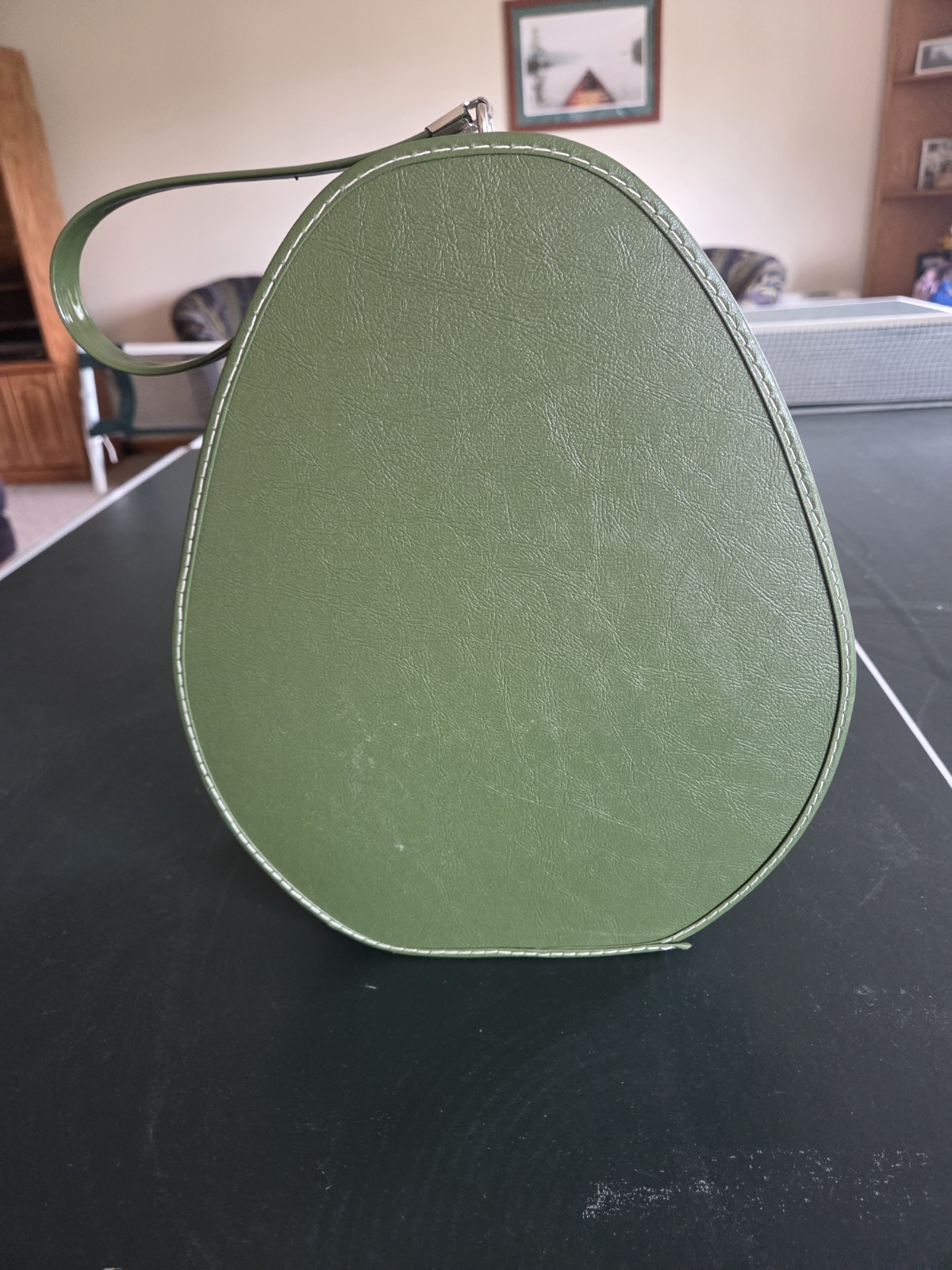 Vintage Suitcase Oval Train Case Egg Shape 1960 Carry On Bag