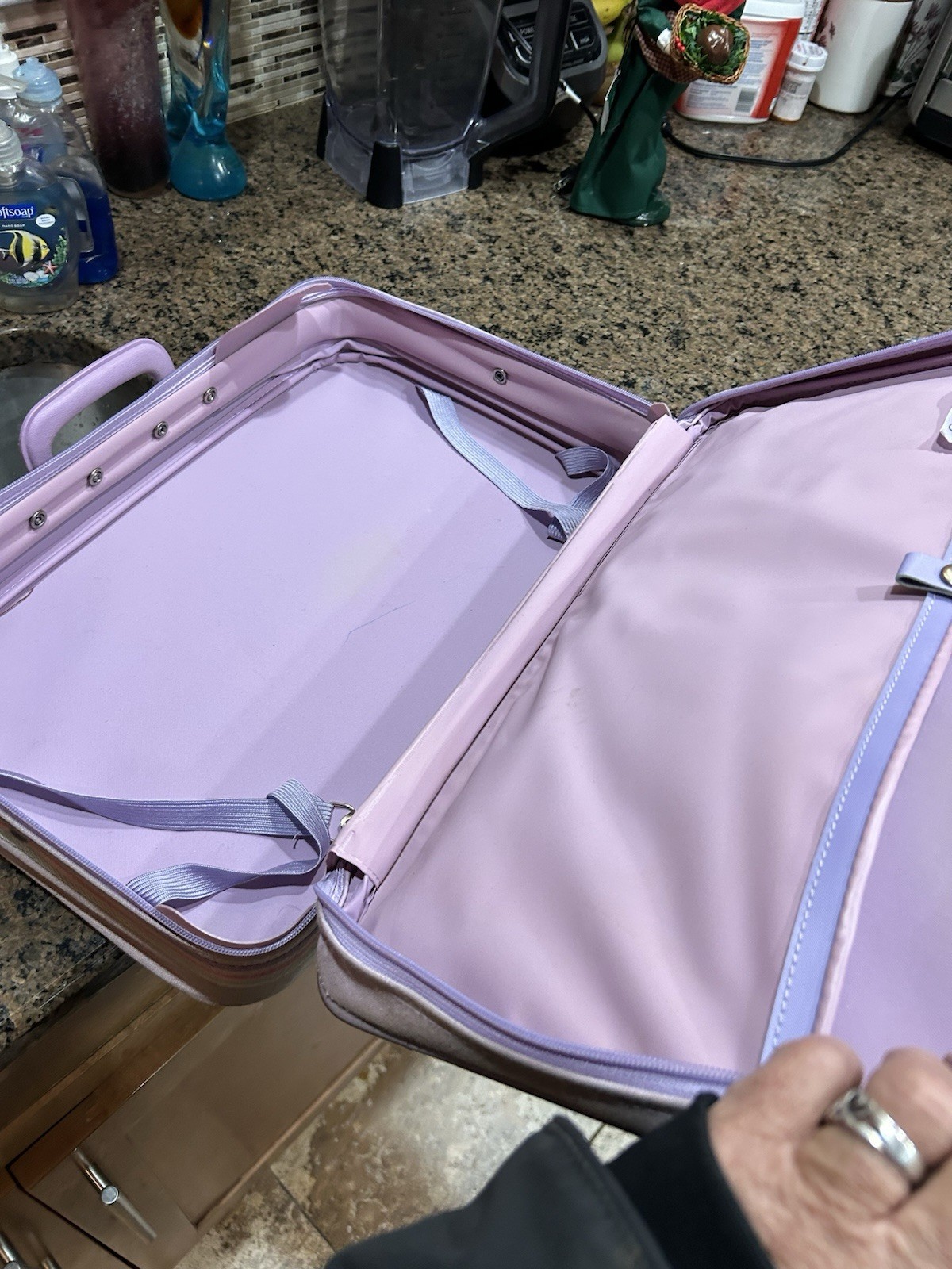 Vintage 1986 Care Bears Suitcase Luggage Light Purple Setting Sail for Grandmas