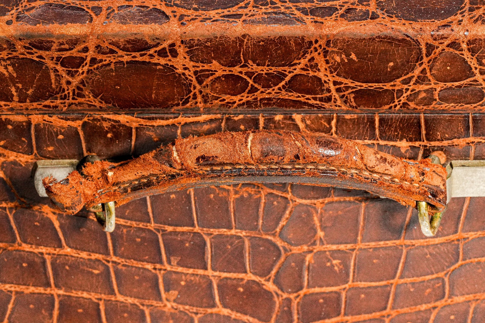 Amazing Antique Crocodile Leather Suitcase Luggage Home Decor Prop Toiletry Set