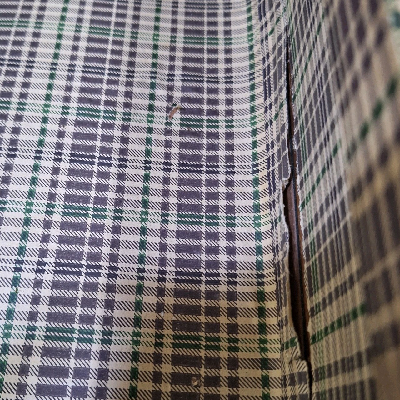 VTG Green Suitcase Original Travel Labels Mid Century Plaid Interior 1940s