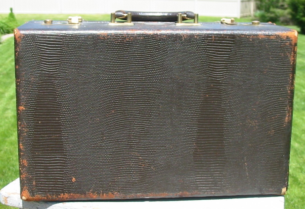 Vintage Faux Snake Skin Vanity Train Case Mirror Travel Makeup Box Luggage