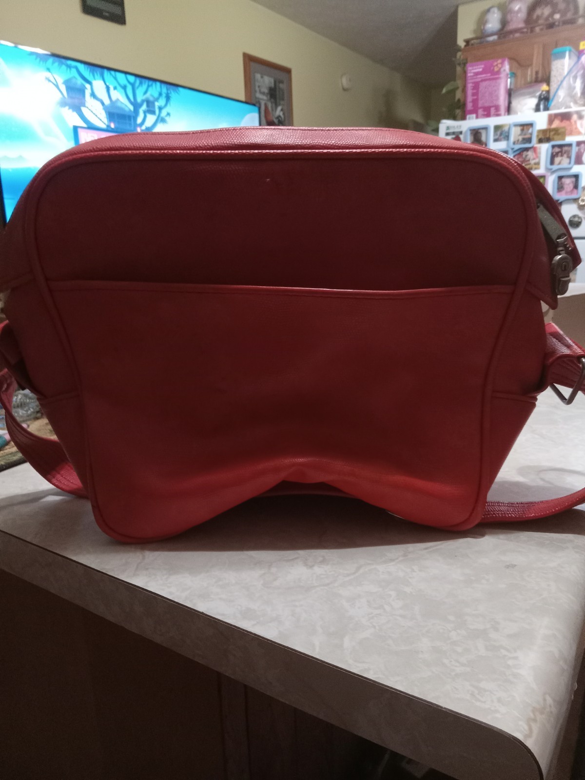 Samsonite Vintage Red Pink Silhouette Cosmetic Makeup Travel Case