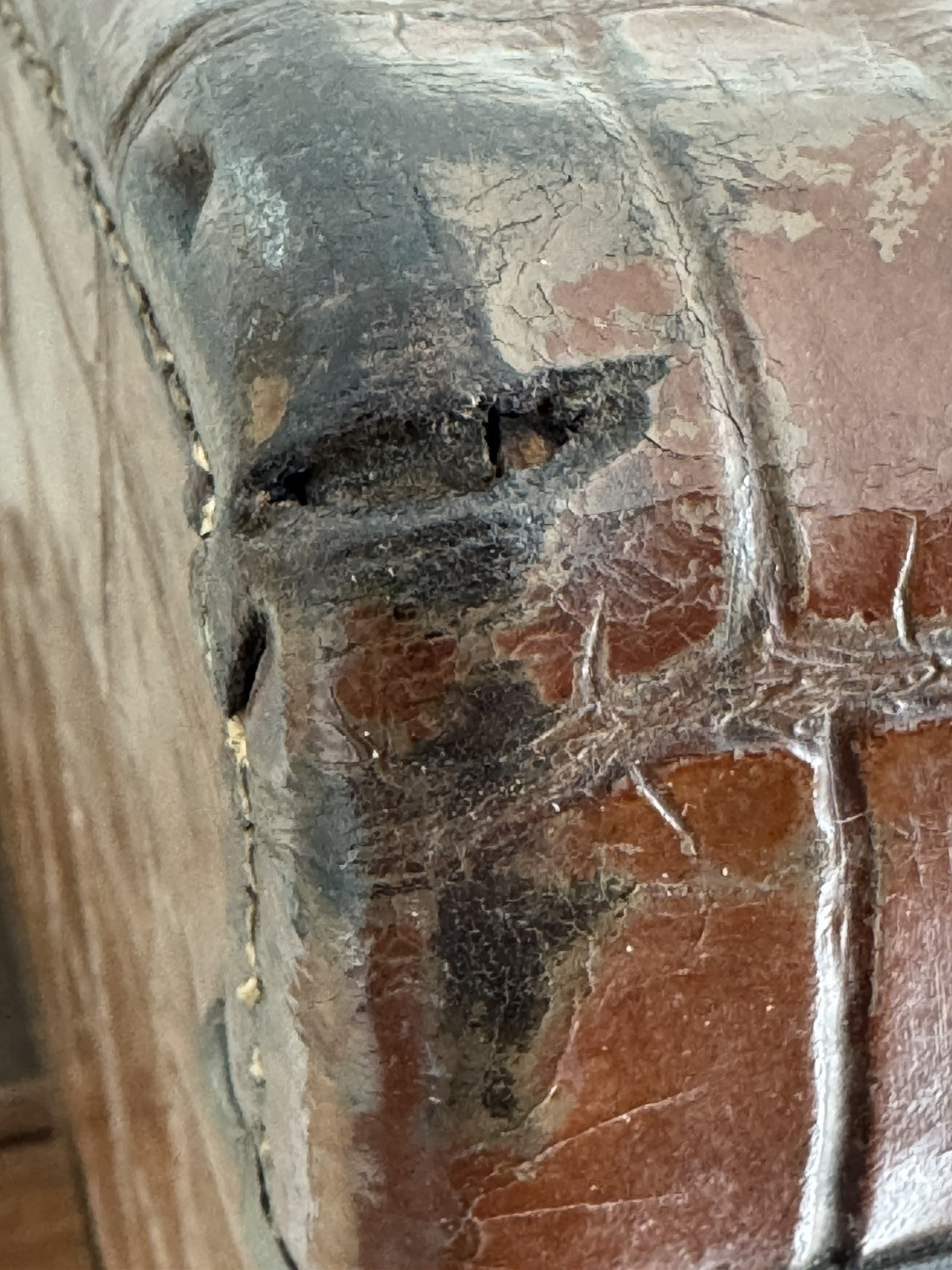 VTG Top Grain Cowhide Suitcase Crocodile Pattern ?