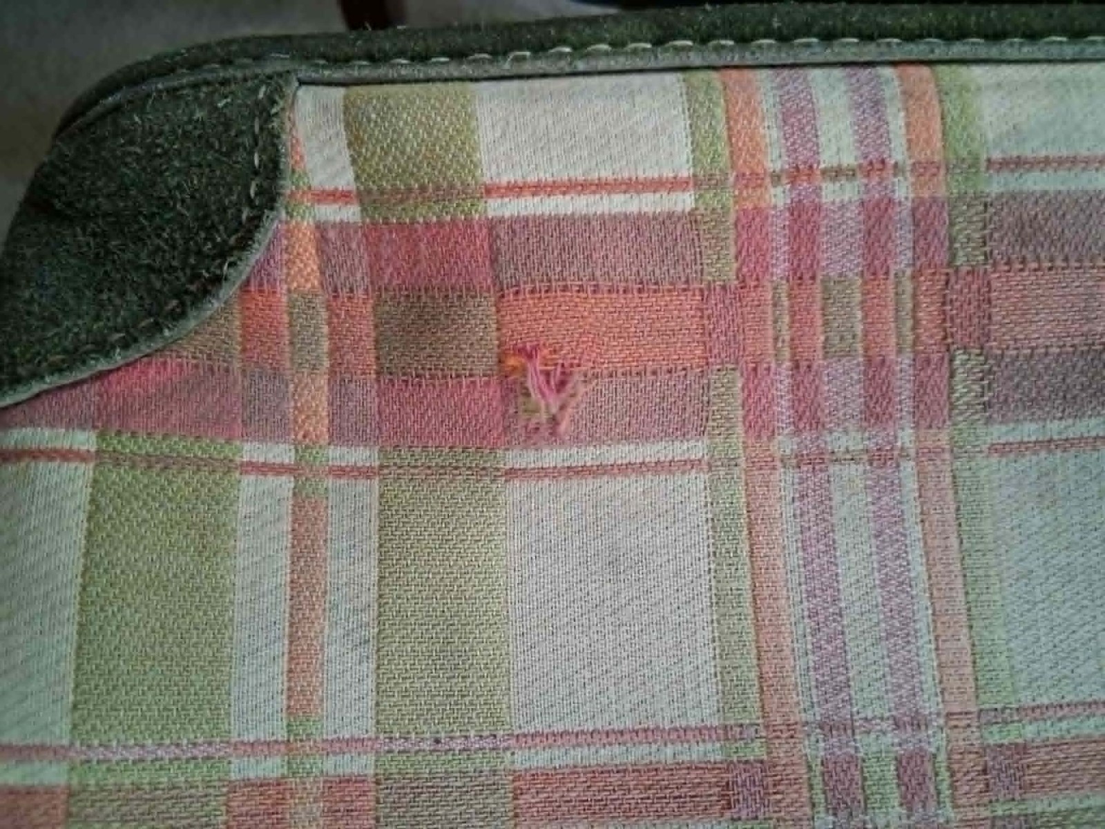 VTG California French Luggage PINK & GREEN PLAID – Only Set Like This Tapestry