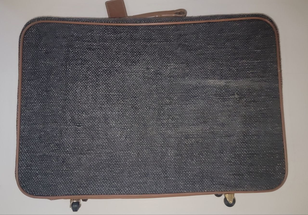 Vintage Oscar de la Renta Garment travel bags