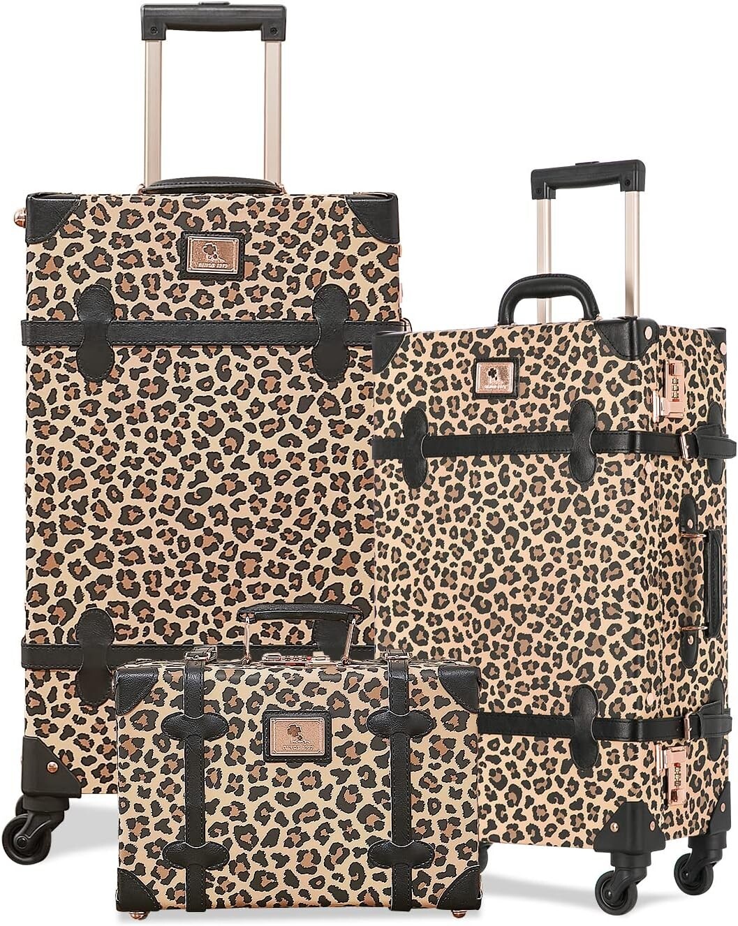 3 Piece Vintage Luggage Set Woman Suitcase Combination Lock Cosmetic Train Bag