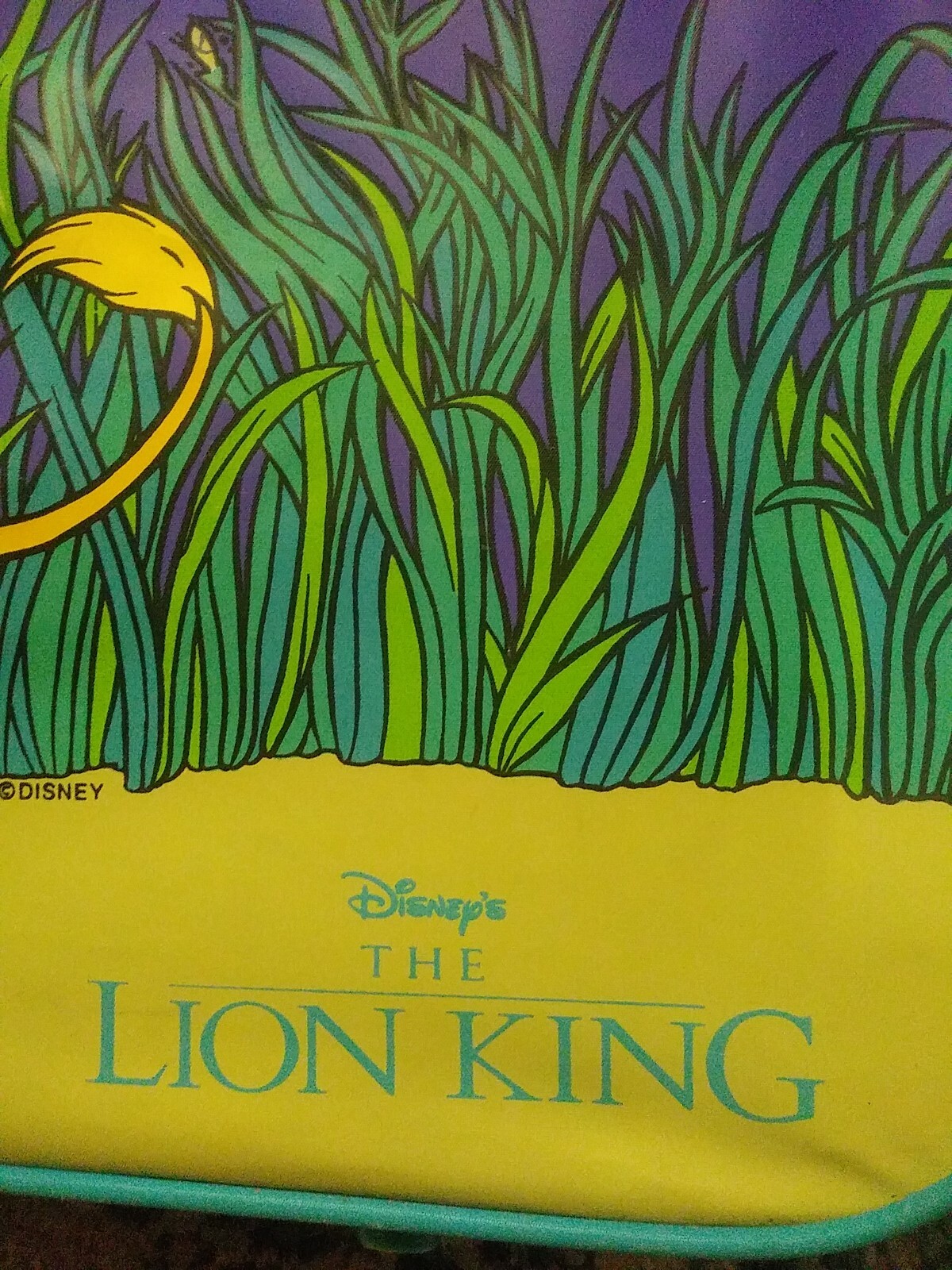 Lion King Suit Case vintage