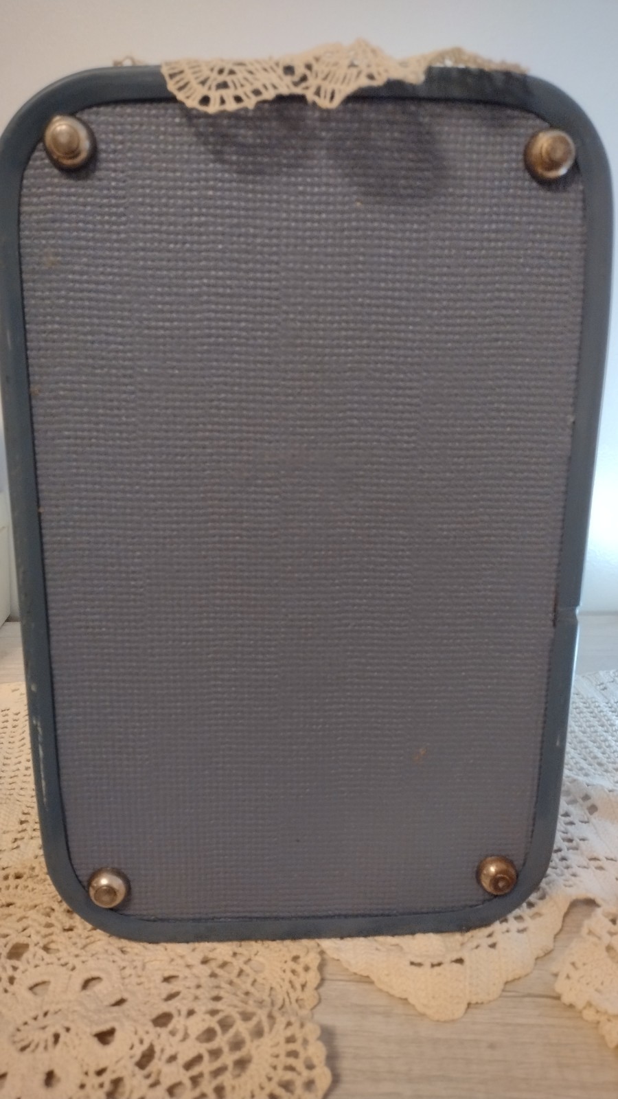 Vintage Sky Flight Travel Case