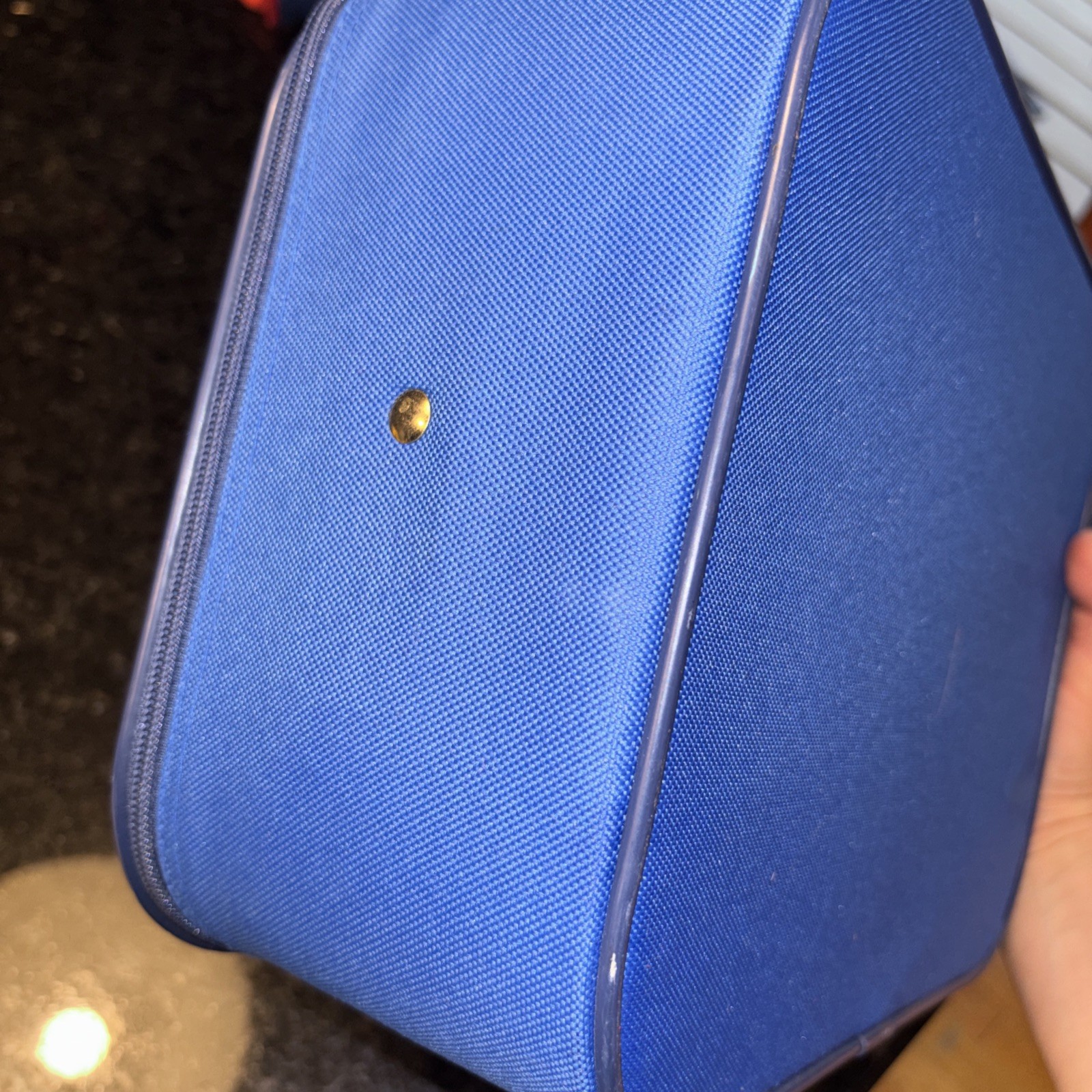 VTG Blue Going to Grandmas Kids Suitcase Mercury Luggage Animal Circus Train
