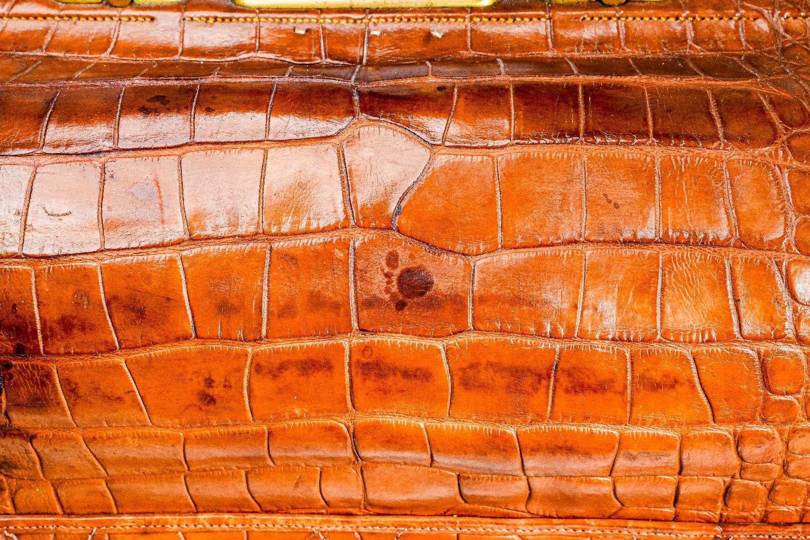 Edwardian Antique Crocodile Leather Gladstone Bag Travel Suitcase