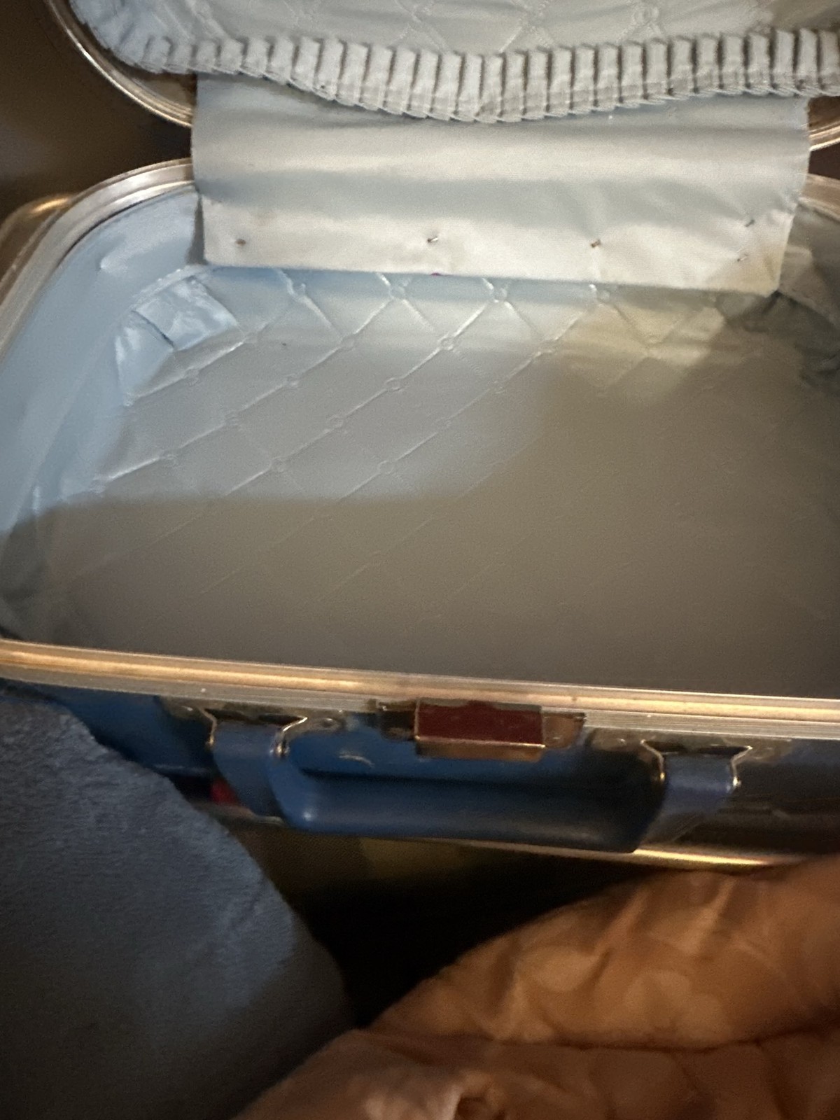 Grandma’s Blue Child Suitcase Boy with Dog Luggage