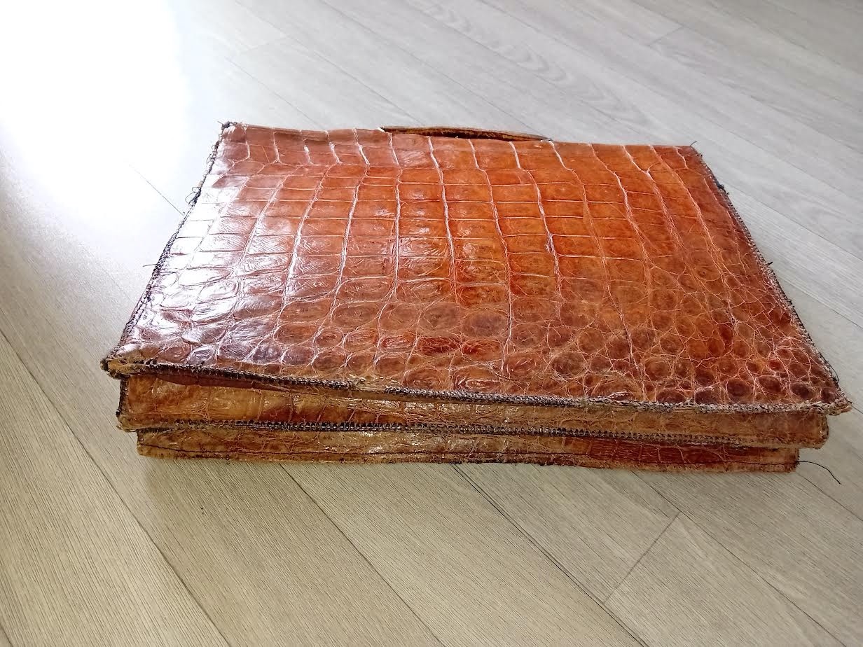 Antique Crocodile Leather Travel Luggage Suitcase / Vintage