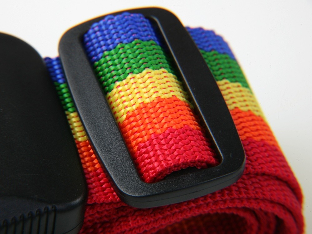 Checkout Travel Luggage Suitcase Strap Baggage Backpack Belt Rainbow Mardi Gras