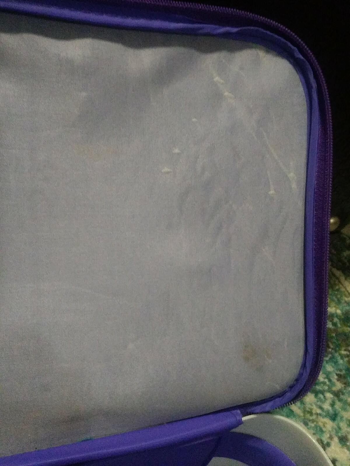 Lion King Suit Case vintage