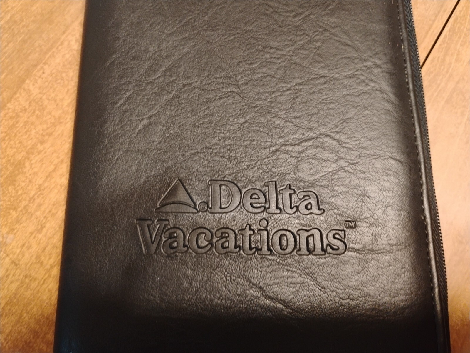 Vintage Delta Vacations Travel Case Black Leather Zipper Close Unique USA Nice
