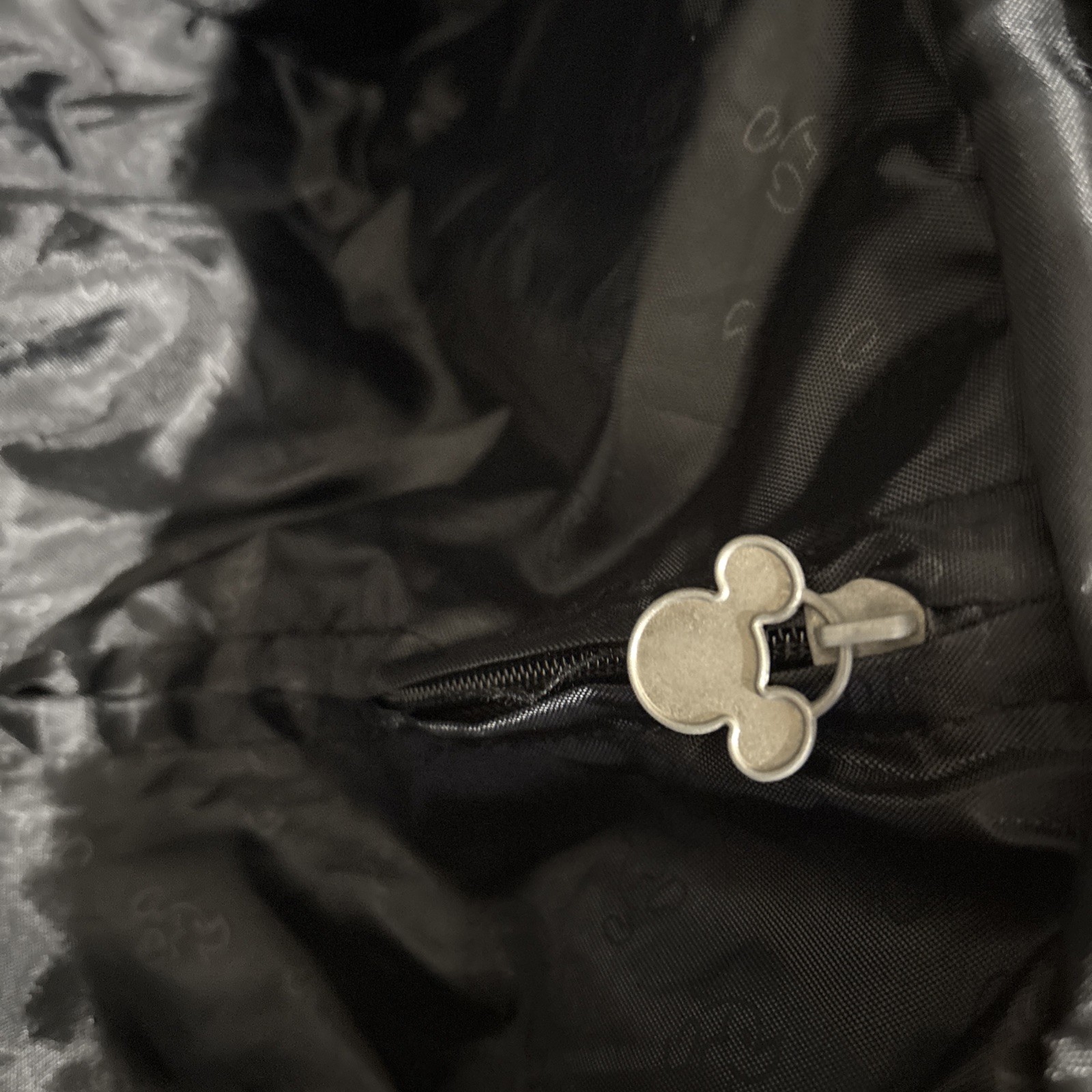 New Mickey Mouse rolling luggage from Disney.