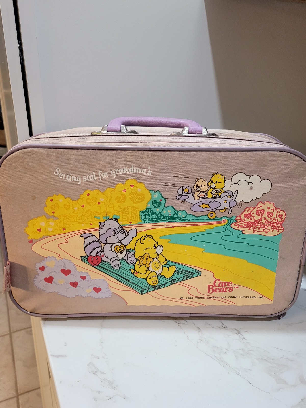 Vintage 1986 Care Bears Suitcase Luggage Light Pink Setting Sail for Grandmas