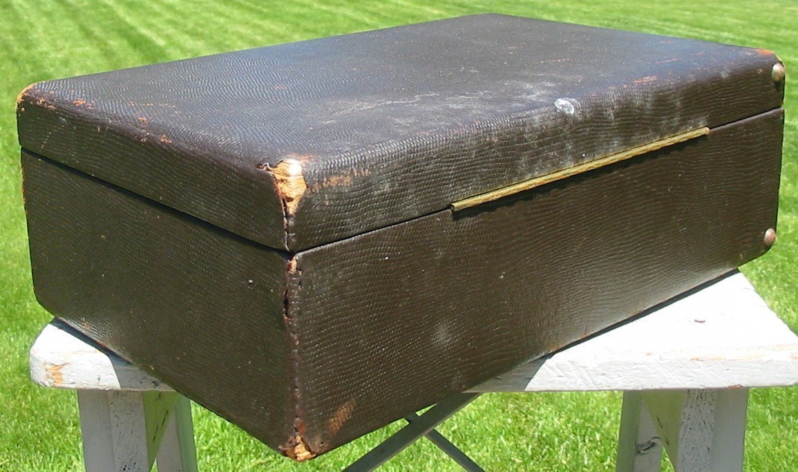 Vintage Faux Snake Skin Vanity Train Case Mirror Travel Makeup Box Luggage