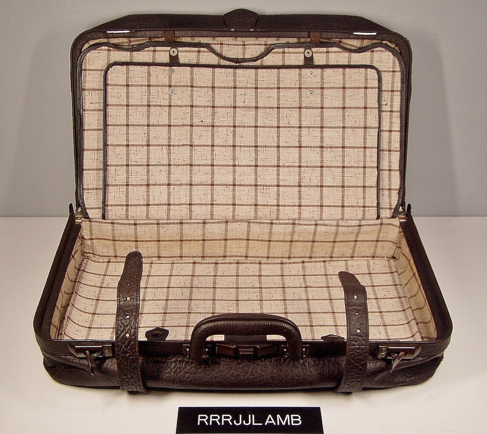 Vtg Antique 20s/30s Elephant Print Leather Suitcase Luggage Presto Lock Brooklyn