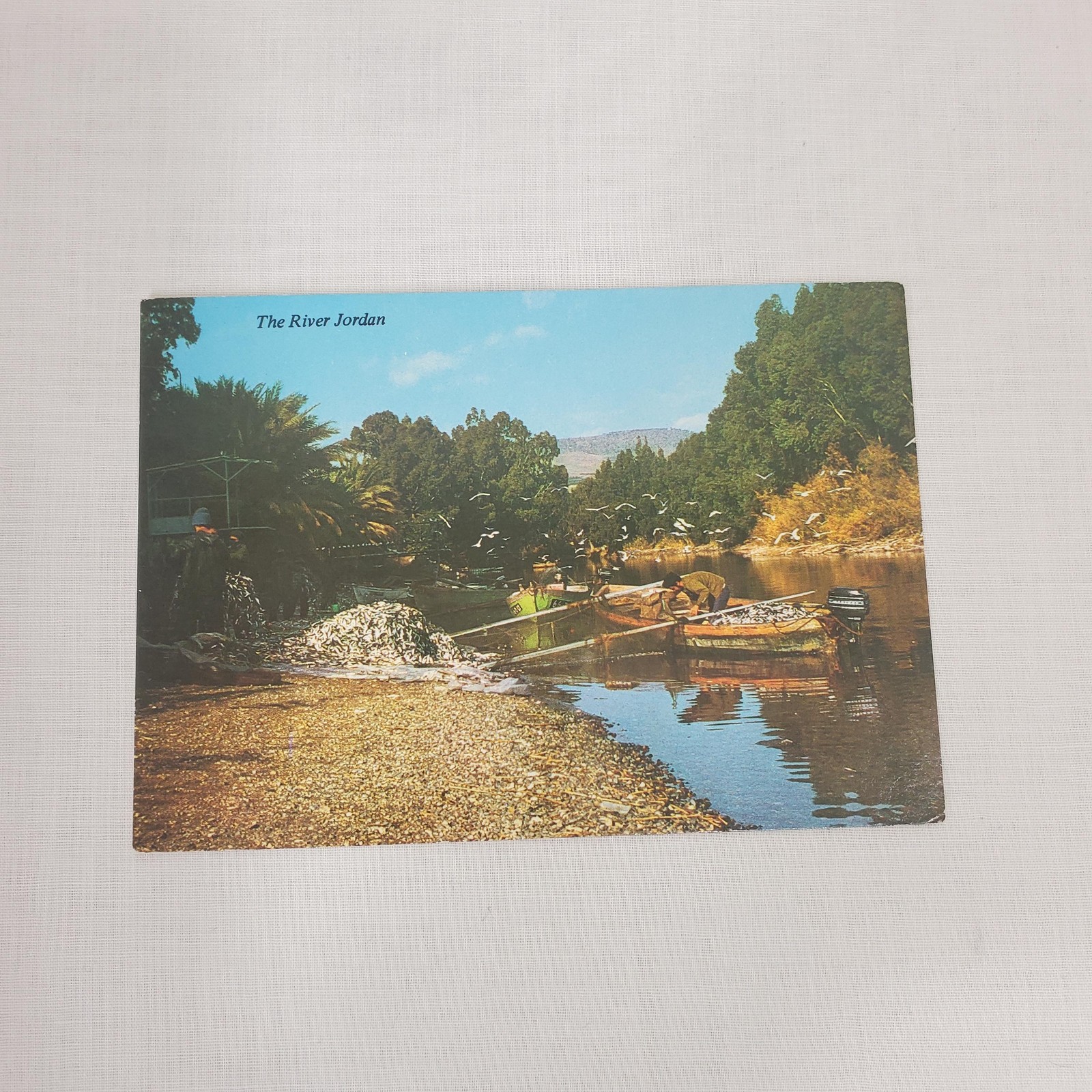 Vintage Israel Holy Land Postcards Lot Qumran Tiberias Dead Sea Sinai 1960s 1970