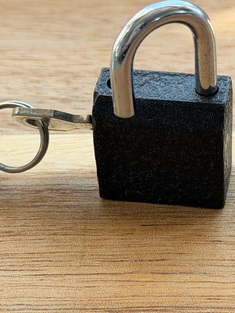 Mini Vintage Heavy Duty Padlock by American Tourister for Luggage