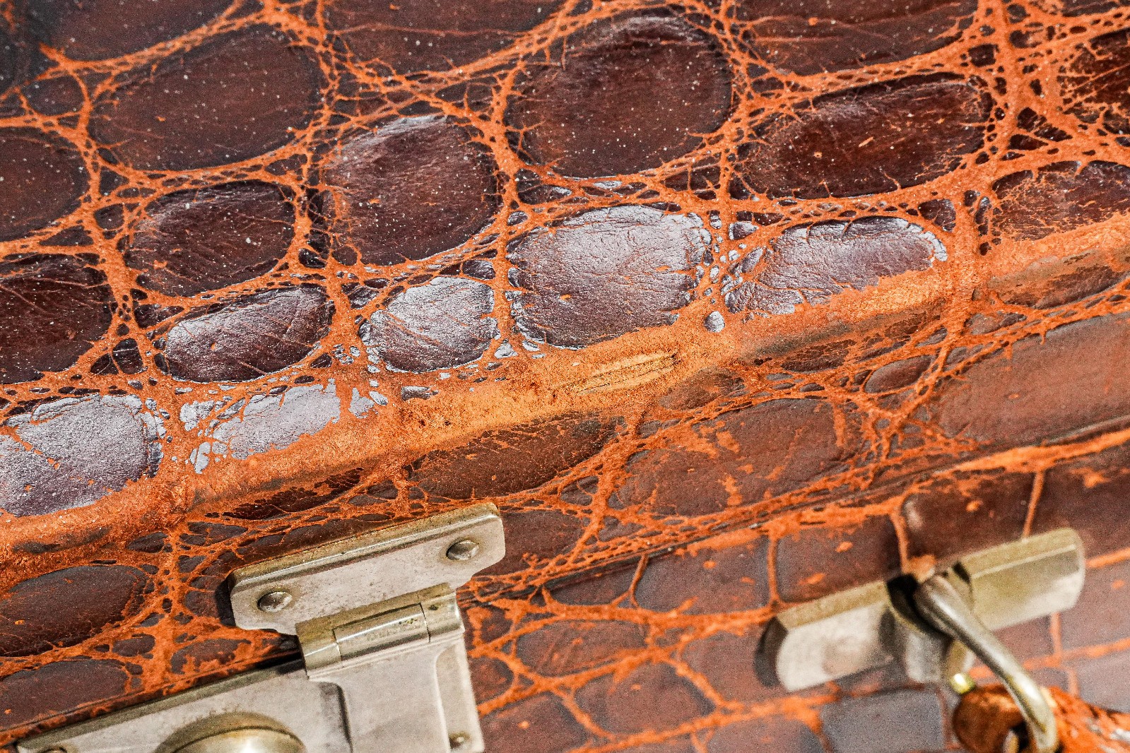 Amazing Antique Crocodile Leather Suitcase Luggage Home Decor Prop Toiletry Set