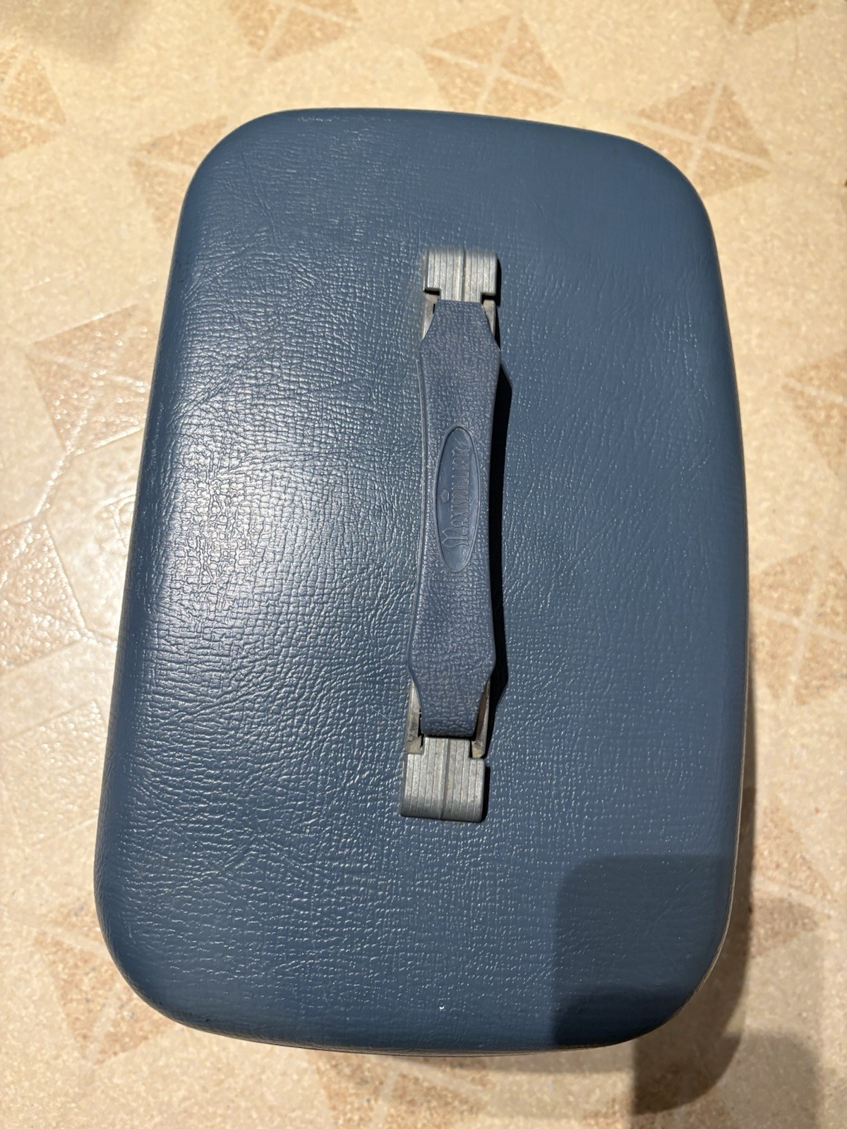 Maximillian train/ Cosmetic Case Blue Hard Shell With Pink Fabric