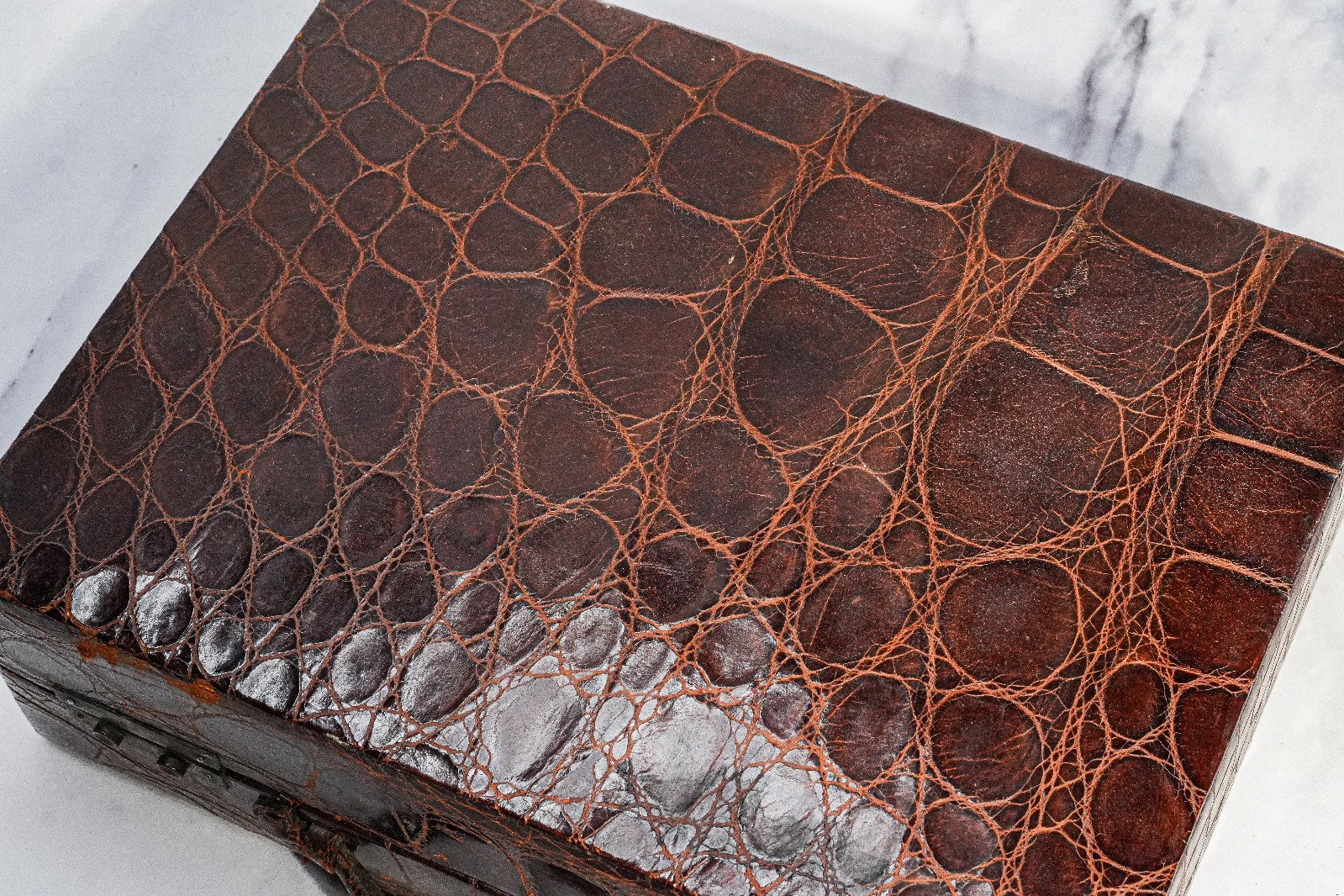 Amazing Antique Crocodile Leather Suitcase Luggage Home Decor Prop Toiletry Set