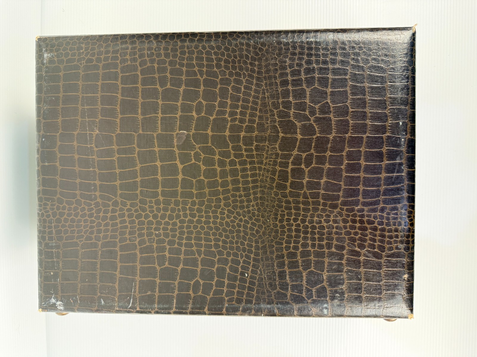 Vintage Luggage Faux Crocodile Pattern Train Case
