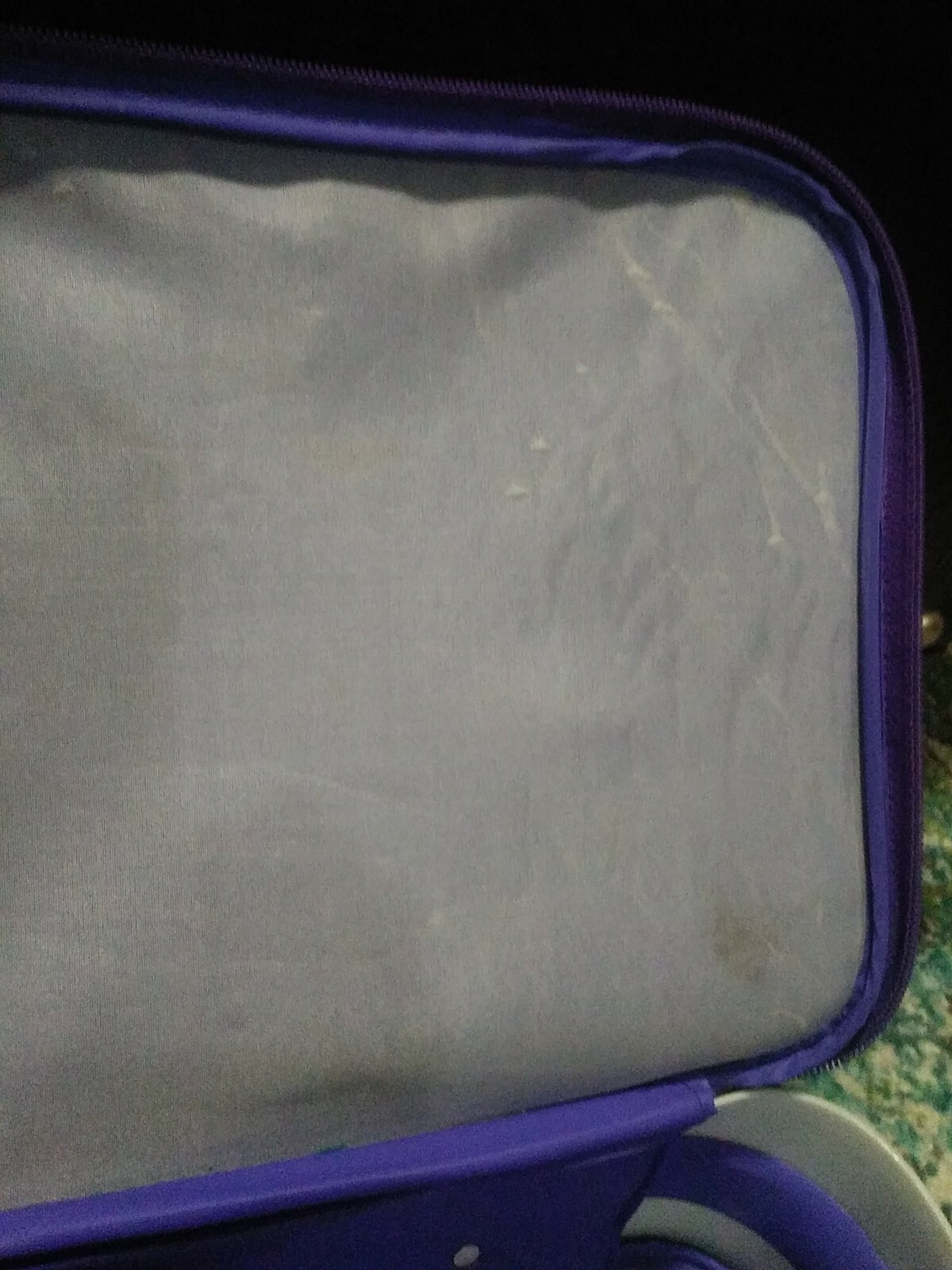 Lion King Suit Case vintage