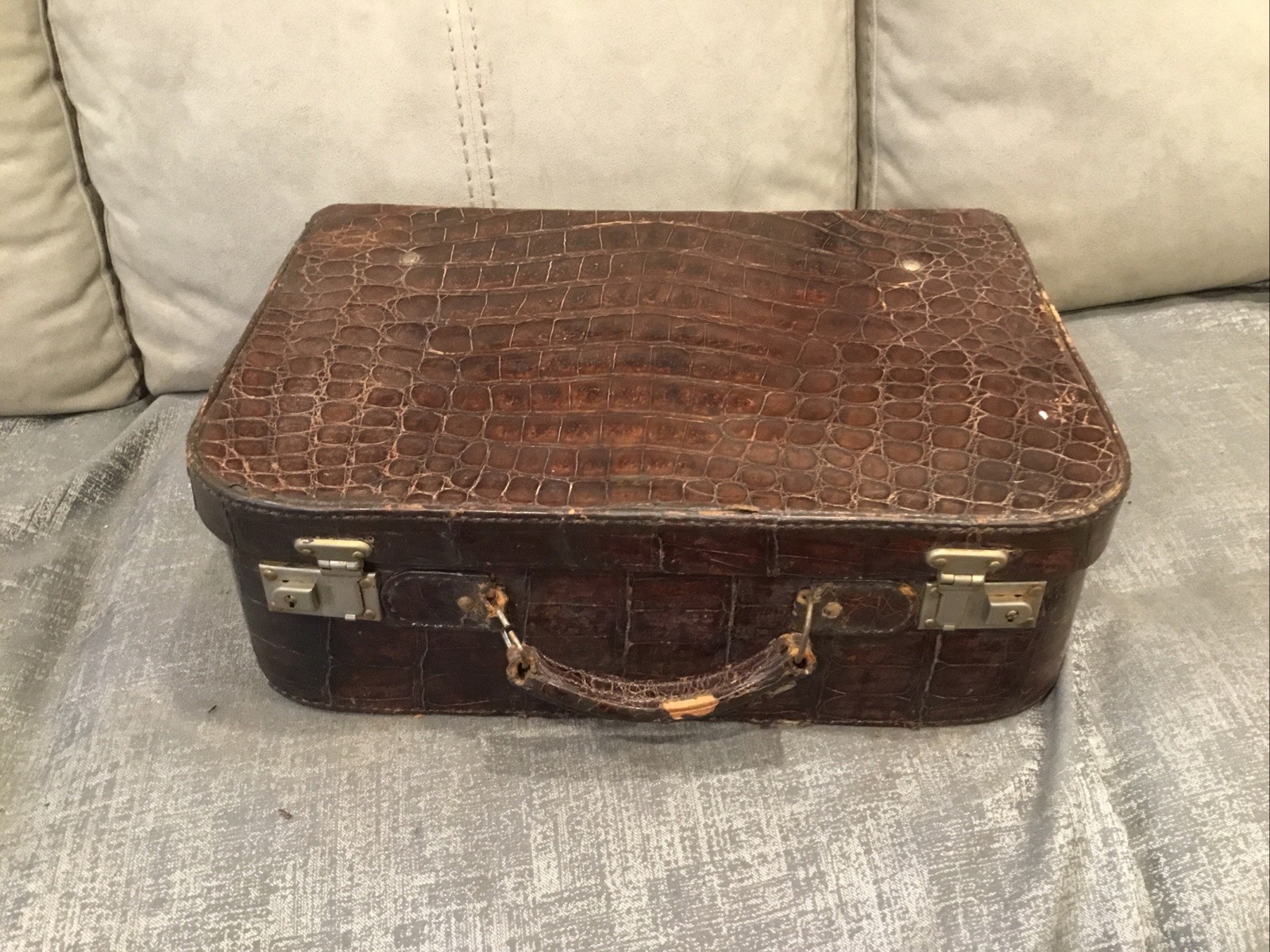 Antique Aligator Suitcase Luggage