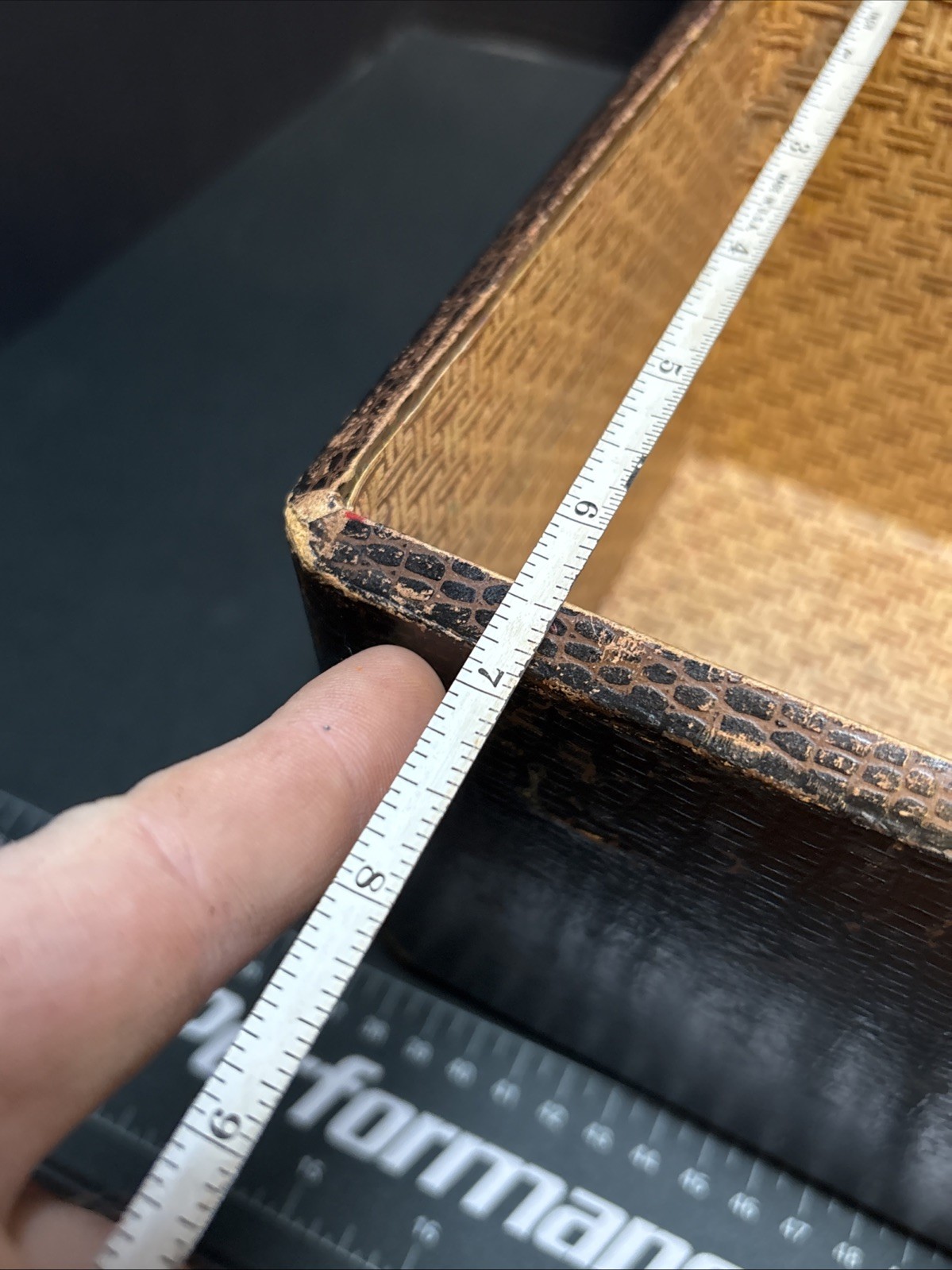 Antique Cosmetic Train Case Faux Snake Skin 1940s Vintage Clear Handle