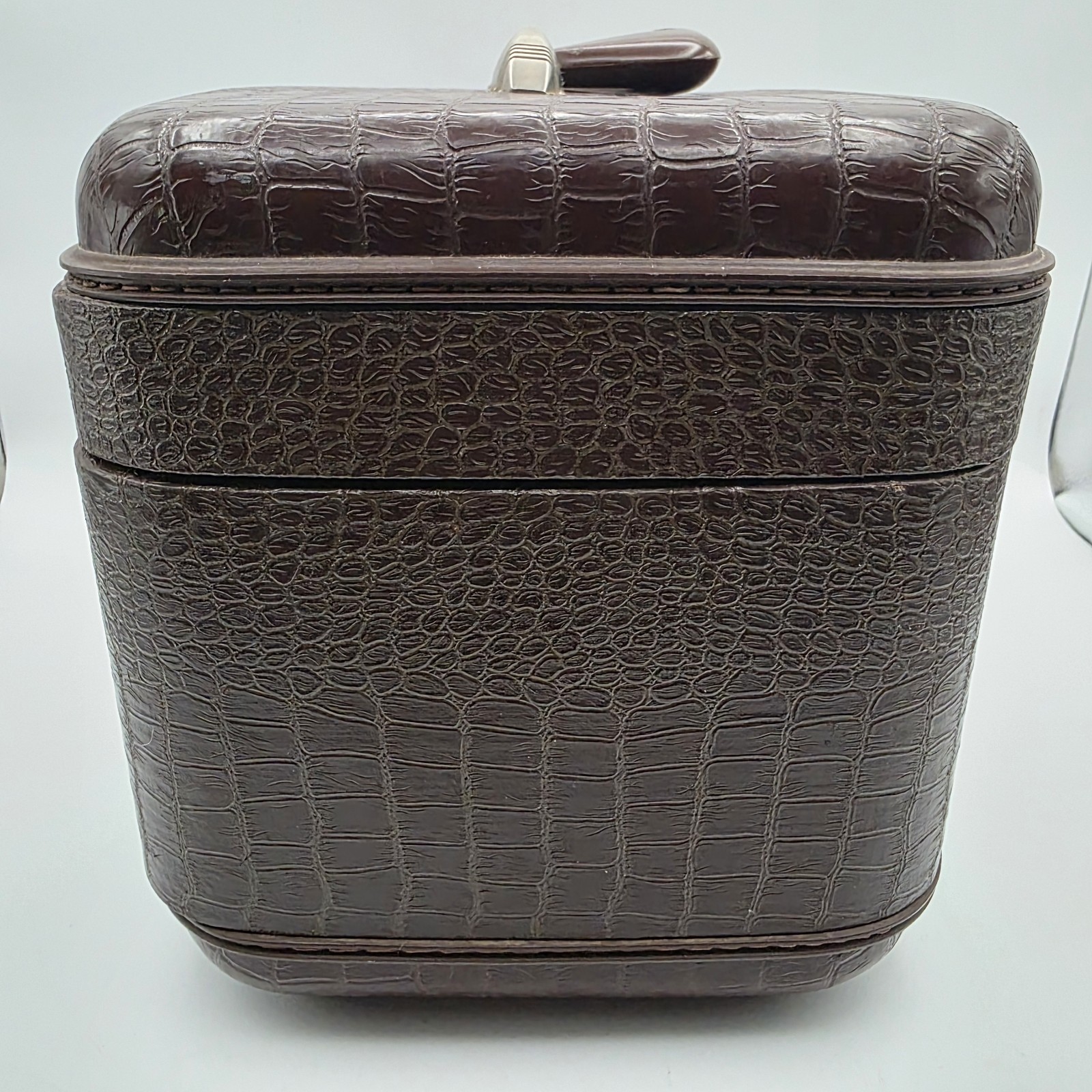 1970’s Vintage Wayfarer Silhouette Train Case Faux Alligator