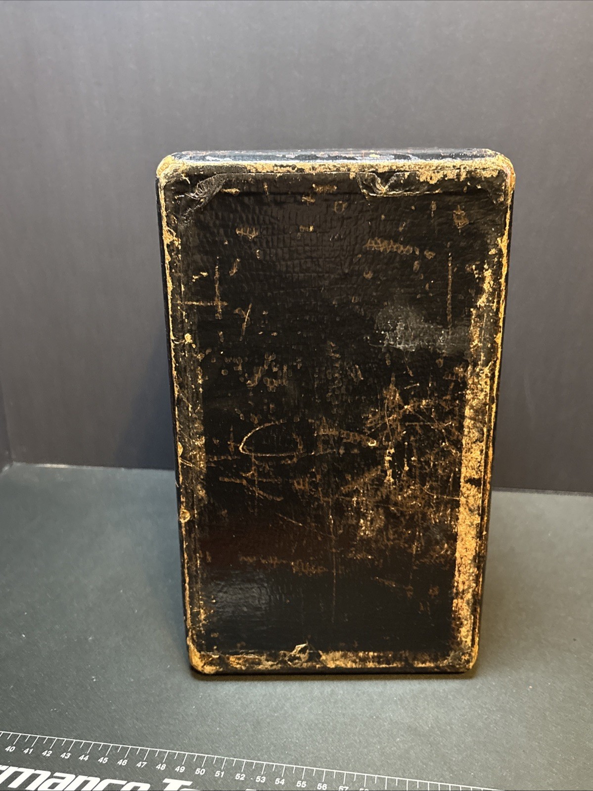 Antique Cosmetic Train Case Faux Snake Skin 1940s Vintage Clear Handle