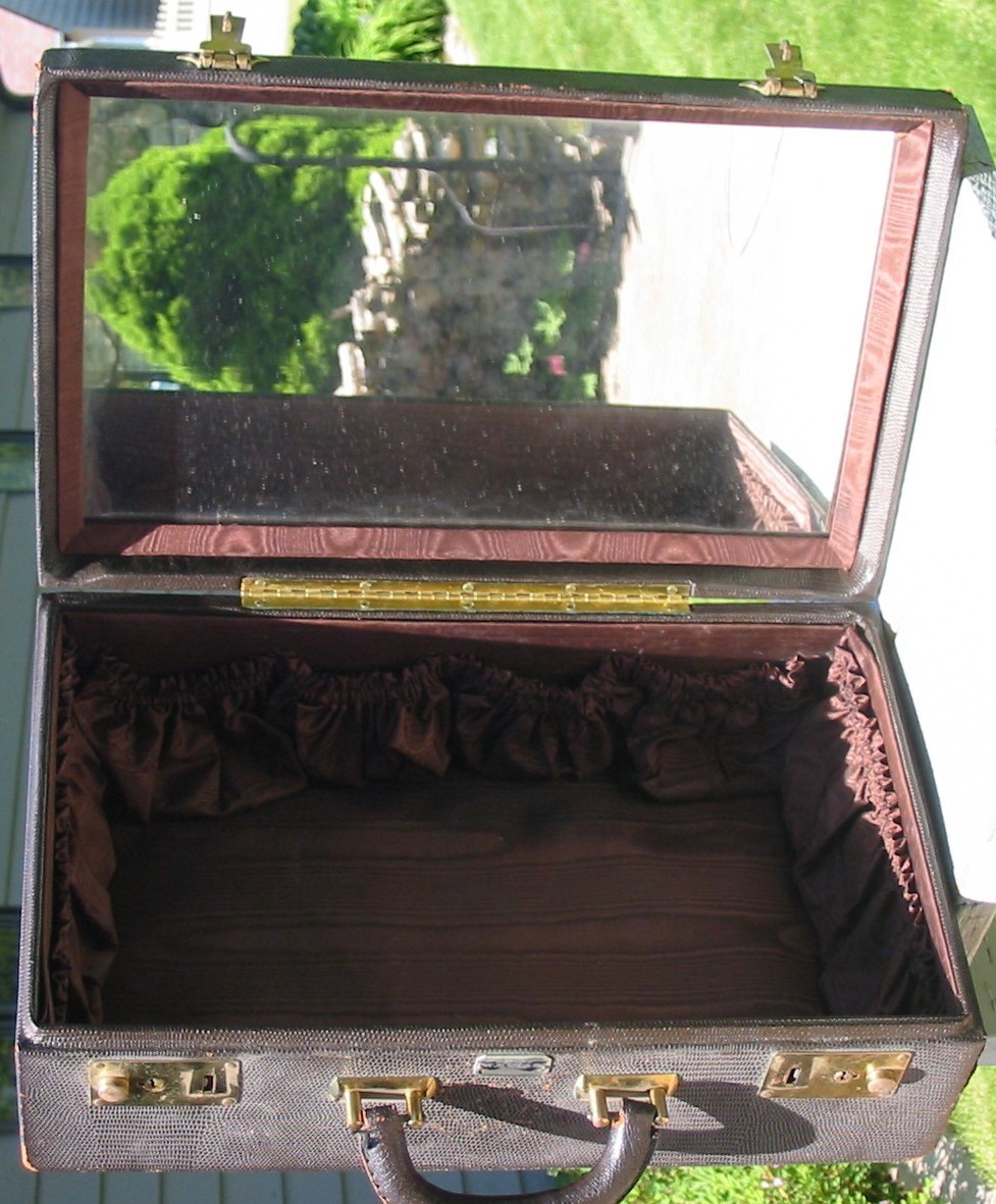 Vintage Faux Snake Skin Vanity Train Case Mirror Travel Makeup Box Luggage