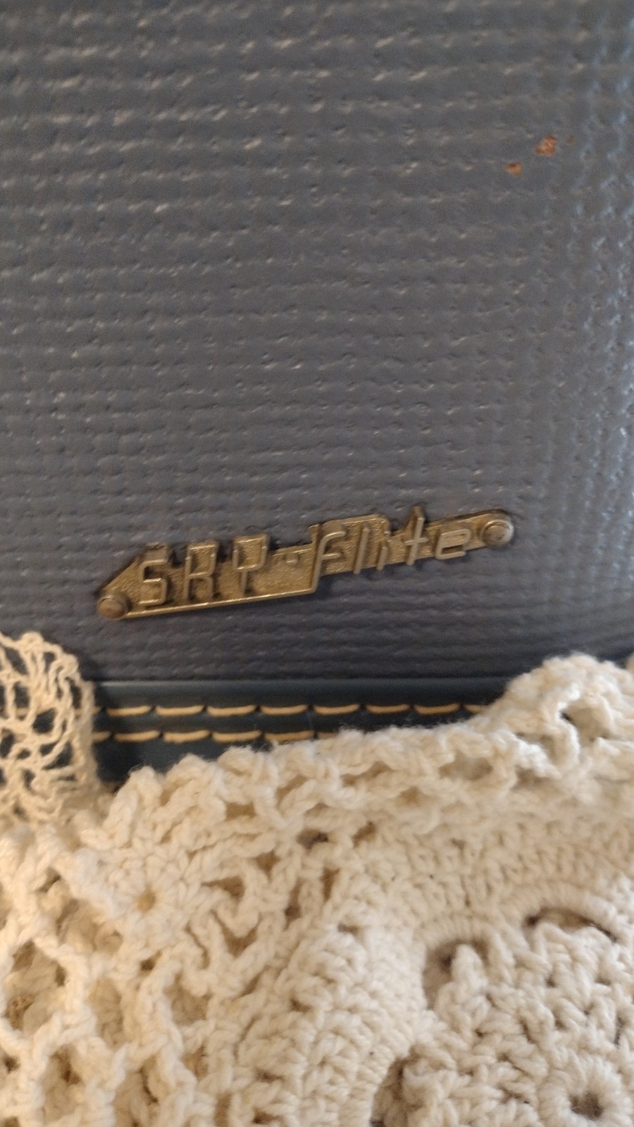 Vintage Sky Flight Travel Case