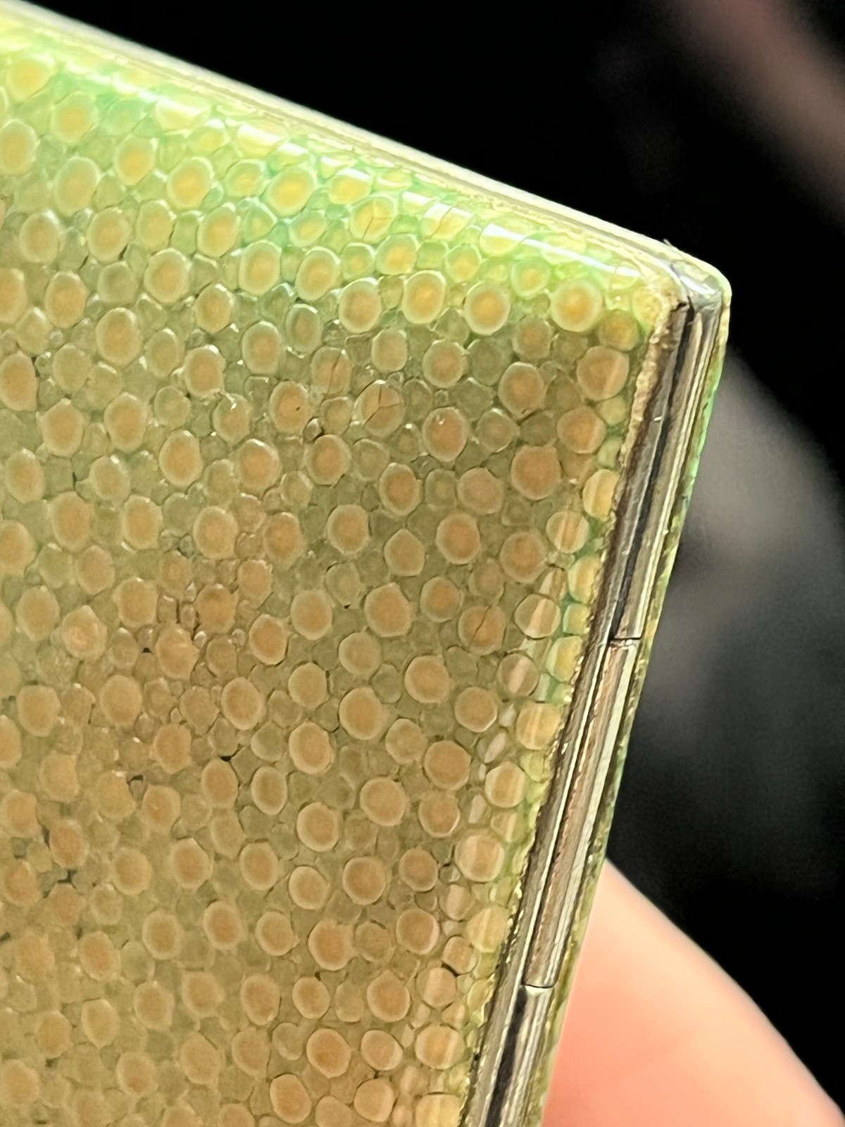 Vintage Shagreen slim cigarette case