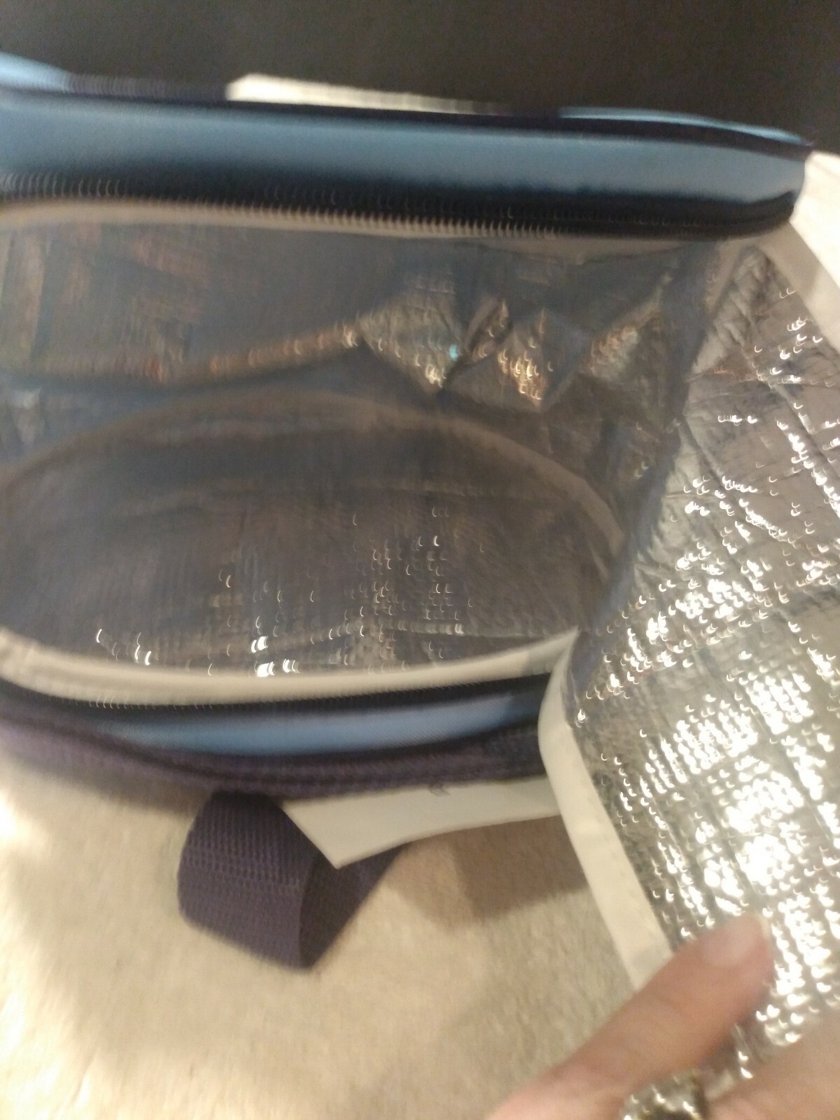 Lufthansa airline soft-sided cooler with carry handle new with tag