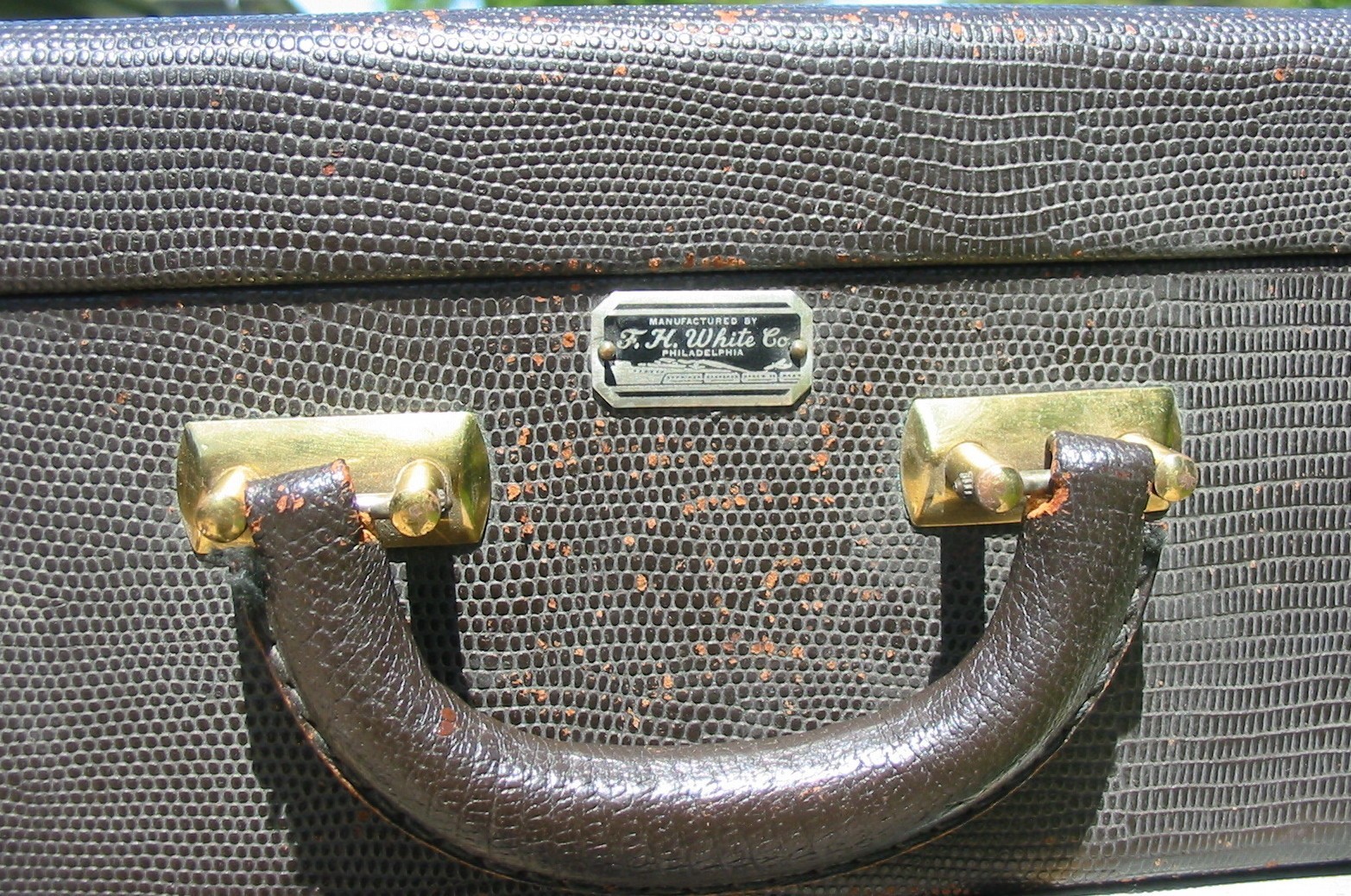 Vintage Faux Snake Skin Vanity Train Case Mirror Travel Makeup Box Luggage