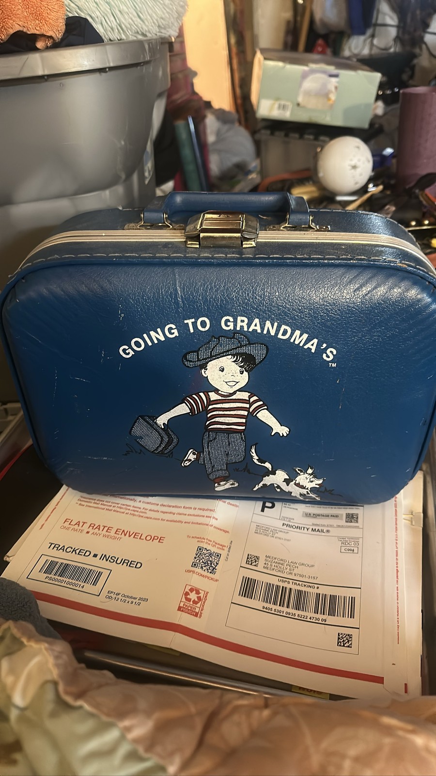 Grandma’s Blue Child Suitcase Boy with Dog Luggage