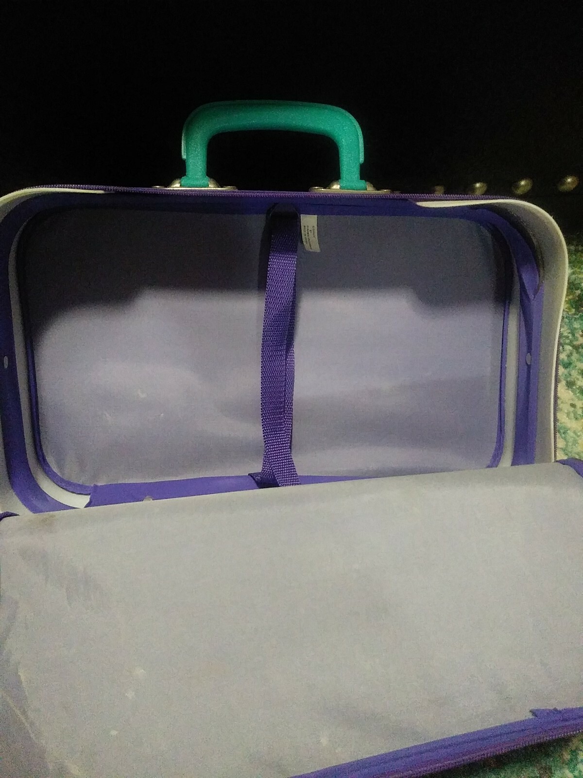 Lion King Suit Case vintage