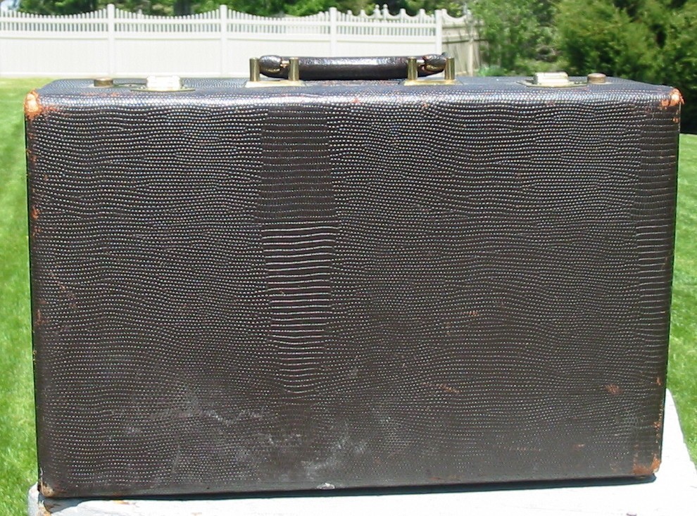 Vintage Faux Snake Skin Vanity Train Case Mirror Travel Makeup Box Luggage